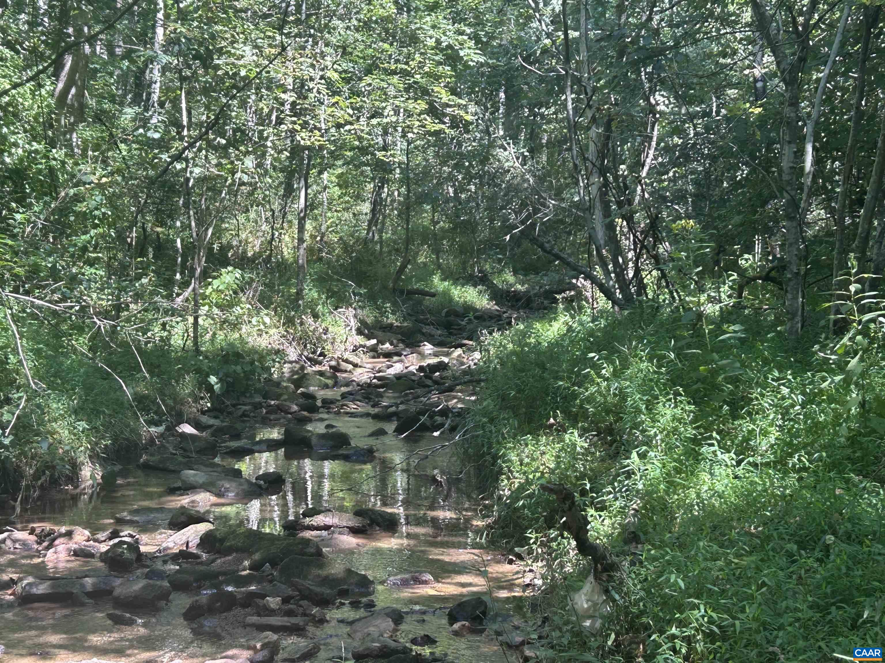 301 DULANEY MOUNTAIN RD, MADISON, Virginia 22727, 3 Bedrooms Bedrooms, ,2 BathroomsBathrooms,Residential,301 DULANEY MOUNTAIN RD,681856 MLS # 681856 301 DULANEY MOUNTAIN RD, MADISON, Virginia 22727, 3 Bedrooms Bedrooms, ,2 BathroomsBathrooms,Residential,301 DULANEY MOUNTAIN RD,681856 MLS # 681856