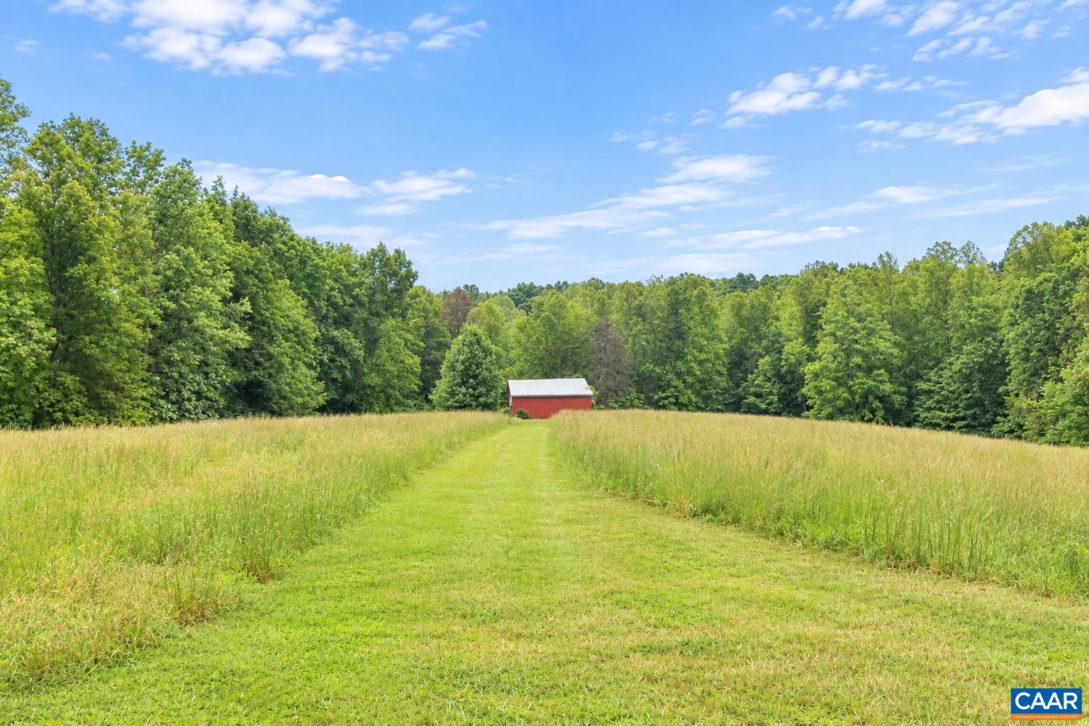 6517 BLENHEIM RD, SCOTTSVILLE, Virginia 24590, ,Farm,Lone Jack Offering,6517 BLENHEIM RD,681946 MLS # 681946 6517 BLENHEIM RD, SCOTTSVILLE, Virginia 24590, ,Farm,Lone Jack Offering,6517 BLENHEIM RD,681946 MLS # 681946