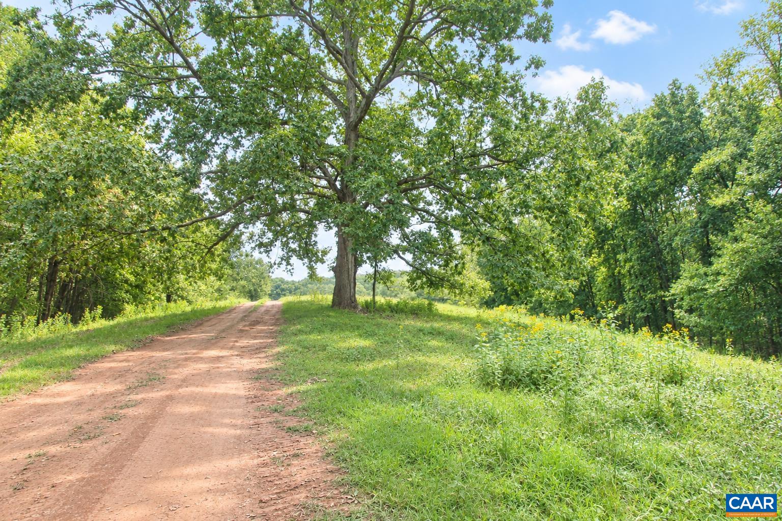 6517 BLENHEIM RD, SCOTTSVILLE, Virginia 24590, ,Farm,Lone Jack Offering,6517 BLENHEIM RD,681946 MLS # 681946 6517 BLENHEIM RD, SCOTTSVILLE, Virginia 24590, ,Farm,Lone Jack Offering,6517 BLENHEIM RD,681946 MLS # 681946