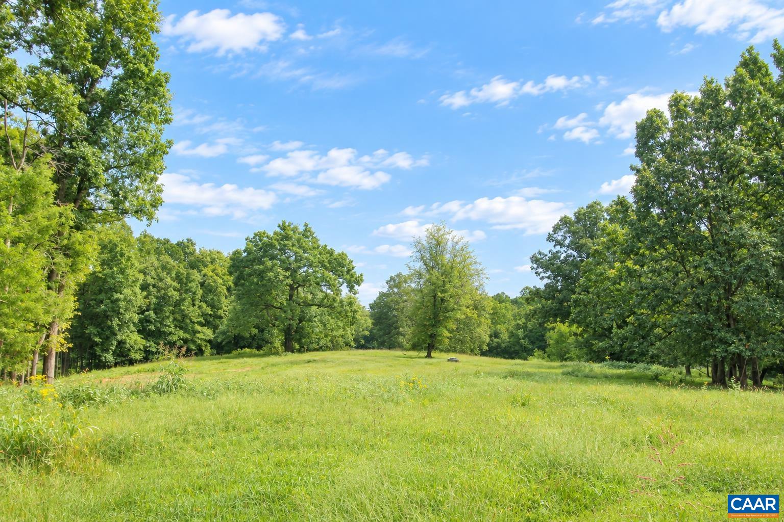 6517 BLENHEIM RD, SCOTTSVILLE, Virginia 24590, ,Farm,Lone Jack Offering,6517 BLENHEIM RD,681946 MLS # 681946 6517 BLENHEIM RD, SCOTTSVILLE, Virginia 24590, ,Farm,Lone Jack Offering,6517 BLENHEIM RD,681946 MLS # 681946
