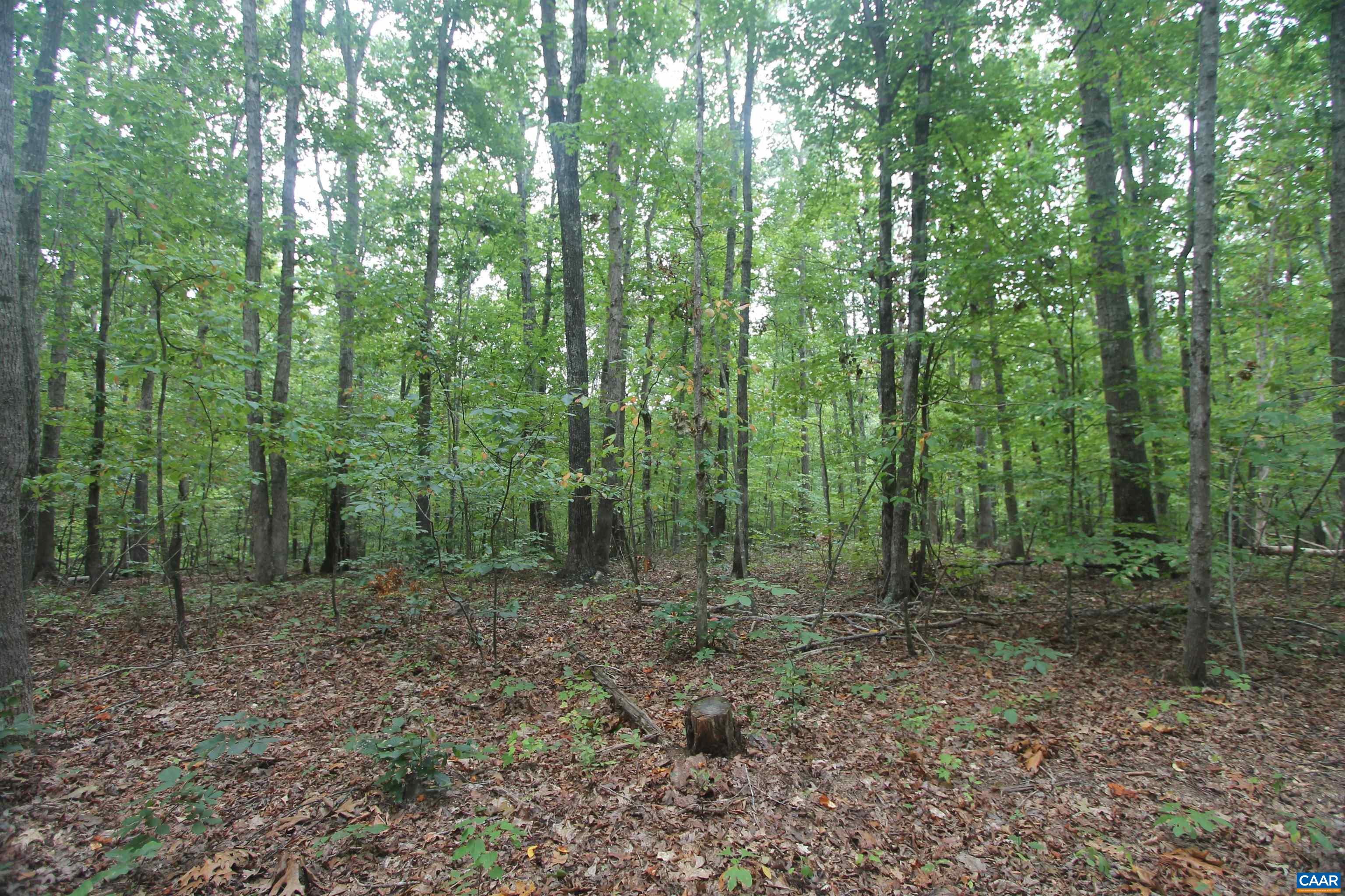 845 RACCOON RIDGE, SCOTTSVILLE, Virginia 24590, ,Farm,River View Offering,845 RACCOON RIDGE,681949 MLS # 681949
