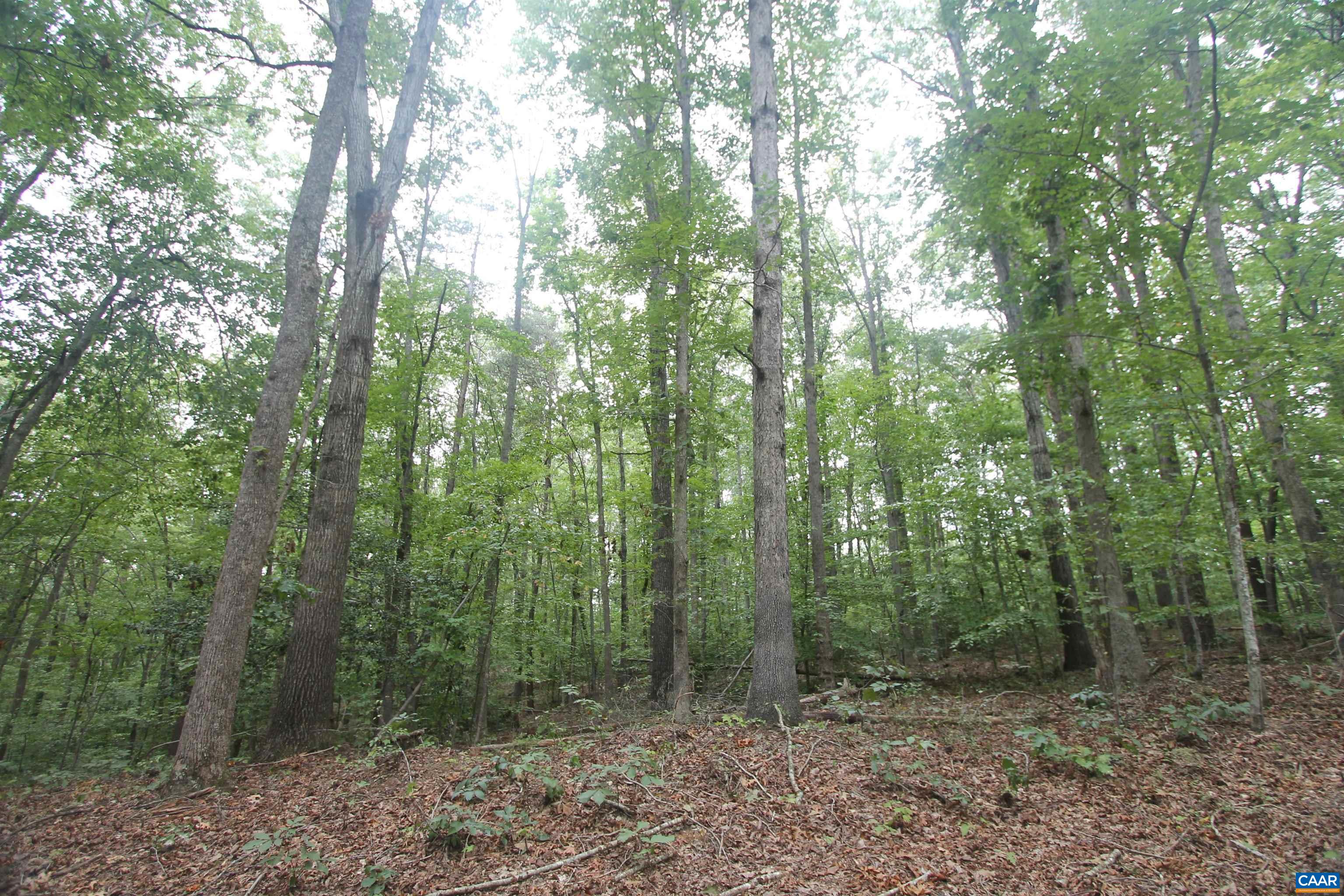 845 RACCOON RIDGE, SCOTTSVILLE, Virginia 24590, ,Farm,River View Offering,845 RACCOON RIDGE,681949 MLS # 681949