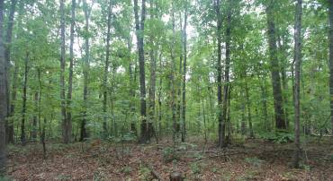 845 RACCOON RIDGE, SCOTTSVILLE, Virginia 24590, ,Farm,River View Offering,845 RACCOON RIDGE,681949 MLS # 681949