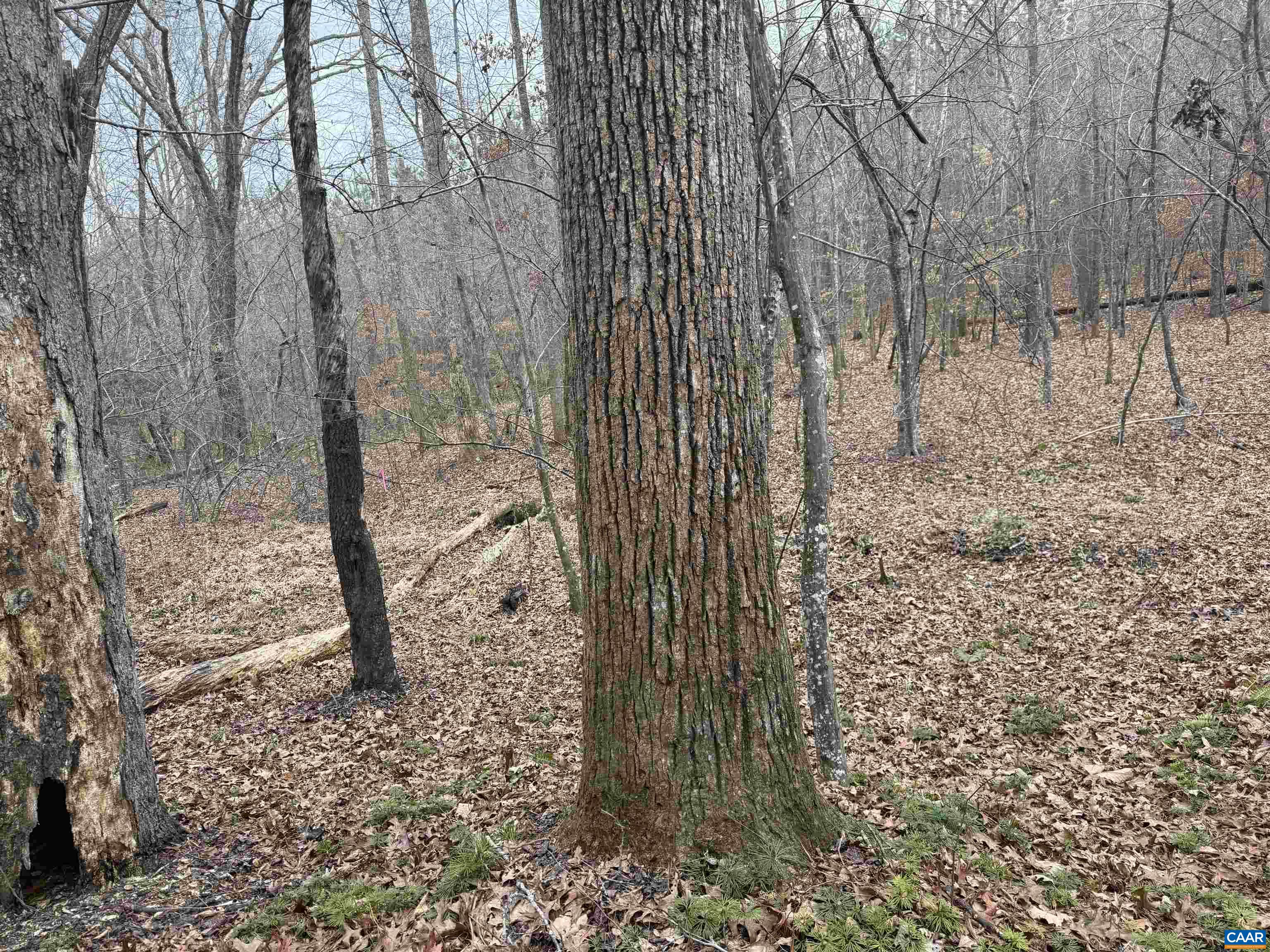 1 TBD HARDWARE RD, ARVONIA, Virginia 23004, ,Land,1 TBD HARDWARE RD,681954 MLS # 681954 1 TBD HARDWARE RD, ARVONIA, Virginia 23004, ,Land,1 TBD HARDWARE RD,681954 MLS # 681954