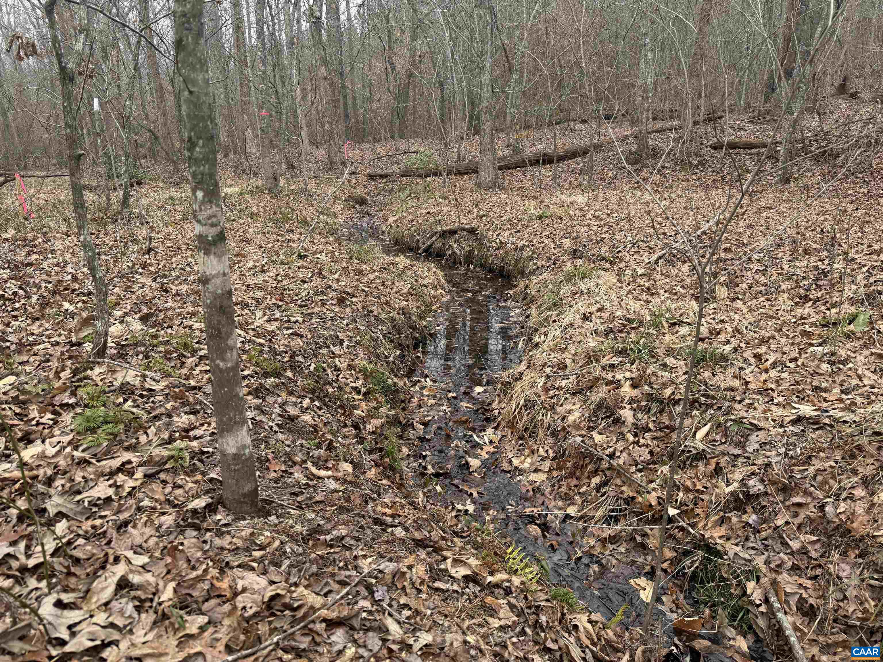 1 TBD HARDWARE RD, ARVONIA, Virginia 23004, ,Land,1 TBD HARDWARE RD,681954 MLS # 681954 1 TBD HARDWARE RD, ARVONIA, Virginia 23004, ,Land,1 TBD HARDWARE RD,681954 MLS # 681954