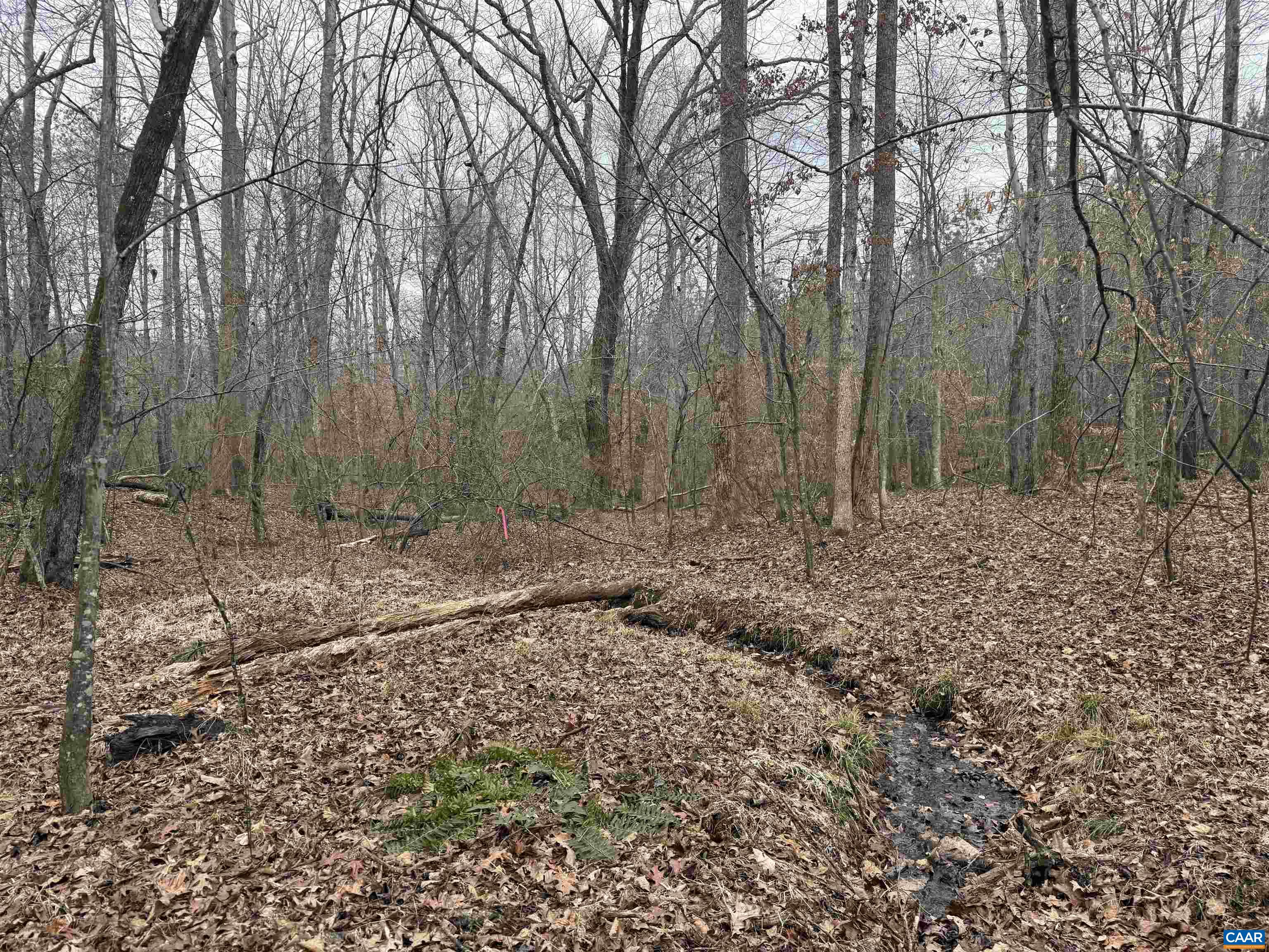 1 TBD HARDWARE RD, ARVONIA, Virginia 23004, ,Land,1 TBD HARDWARE RD,681954 MLS # 681954 1 TBD HARDWARE RD, ARVONIA, Virginia 23004, ,Land,1 TBD HARDWARE RD,681954 MLS # 681954