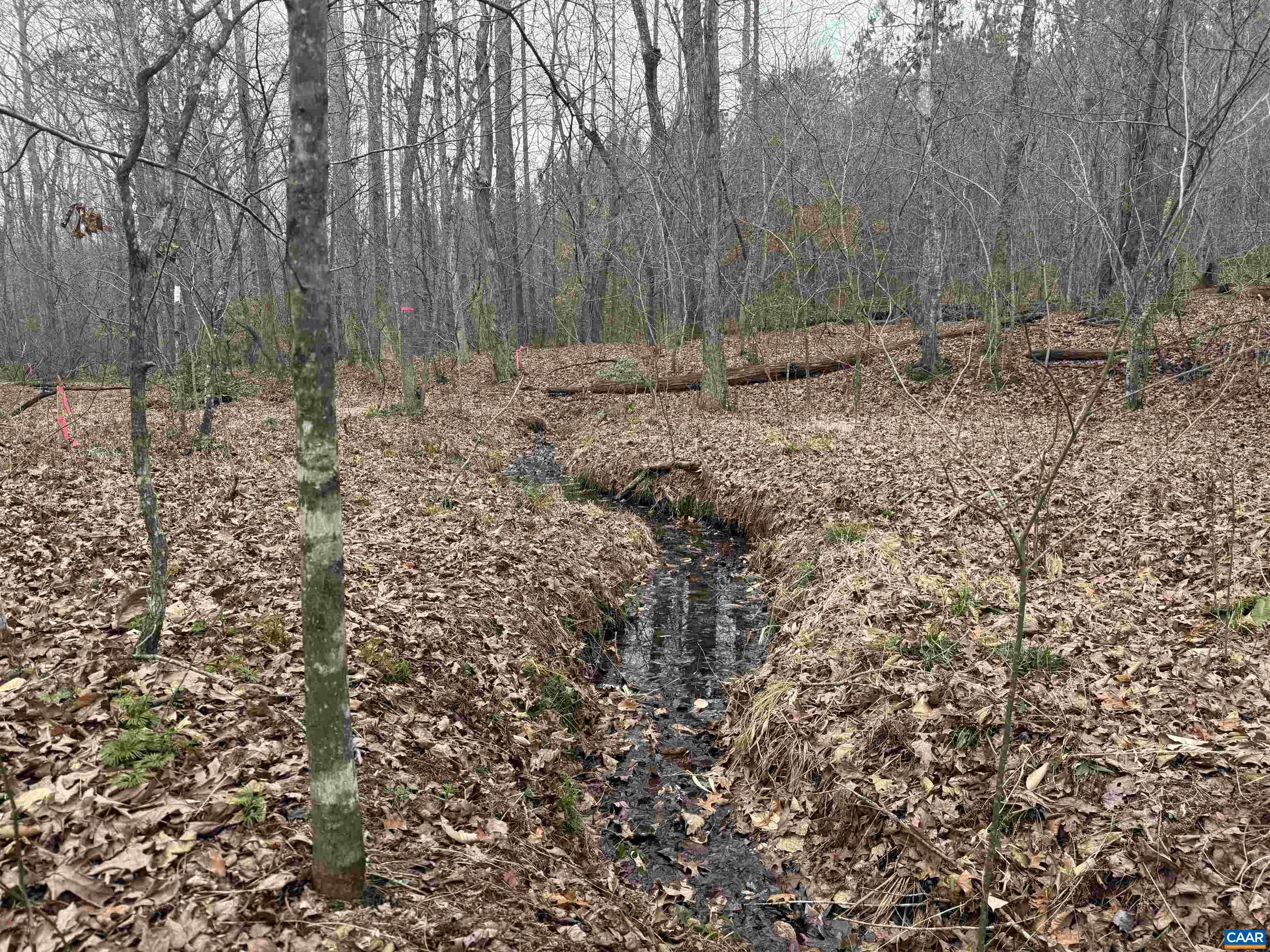 1 TBD HARDWARE RD, ARVONIA, Virginia 23004, ,Land,1 TBD HARDWARE RD,681954 MLS # 681954 1 TBD HARDWARE RD, ARVONIA, Virginia 23004, ,Land,1 TBD HARDWARE RD,681954 MLS # 681954