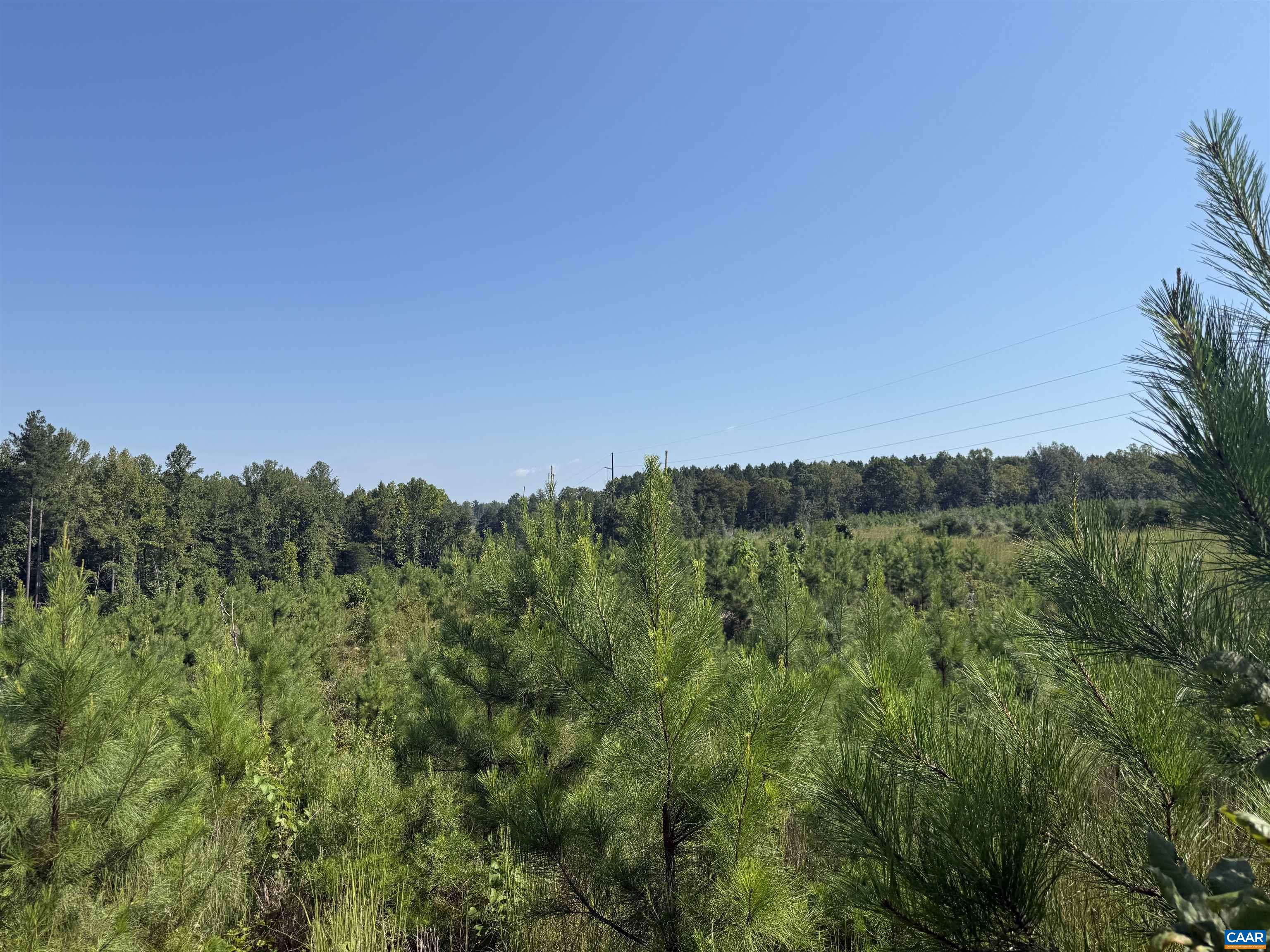 TBD Tract 1 COMMUNITY HOUSE RD, KENTS STORE, Virginia 23084, ,Land,TBD Tract 1 COMMUNITY HOUSE RD,681960 MLS # 681960