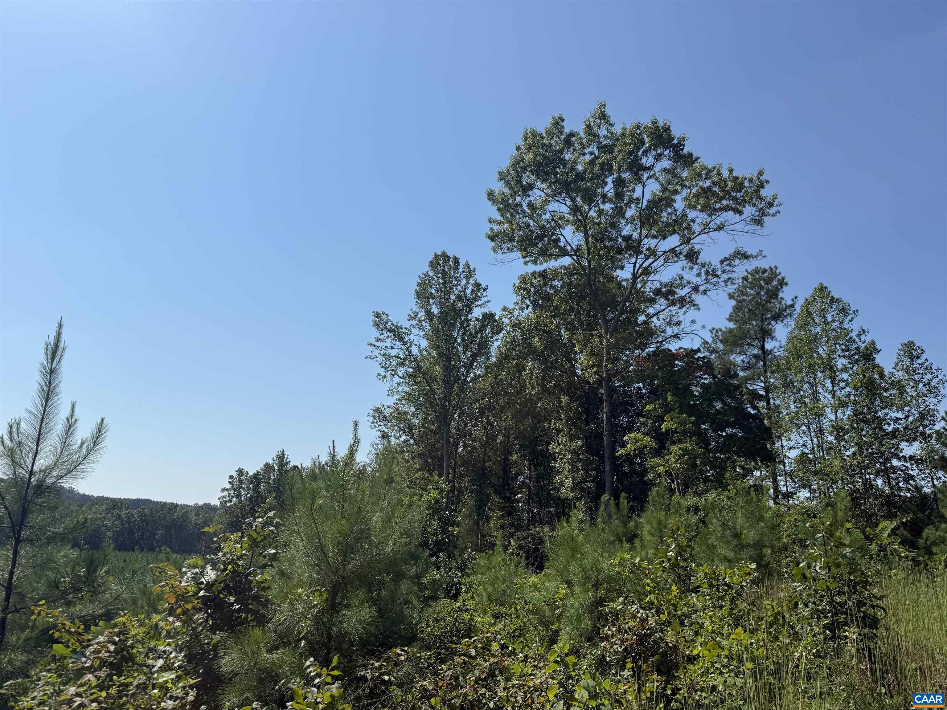 TBD Tract 1 COMMUNITY HOUSE RD, KENTS STORE, Virginia 23084, ,Land,TBD Tract 1 COMMUNITY HOUSE RD,681960 MLS # 681960