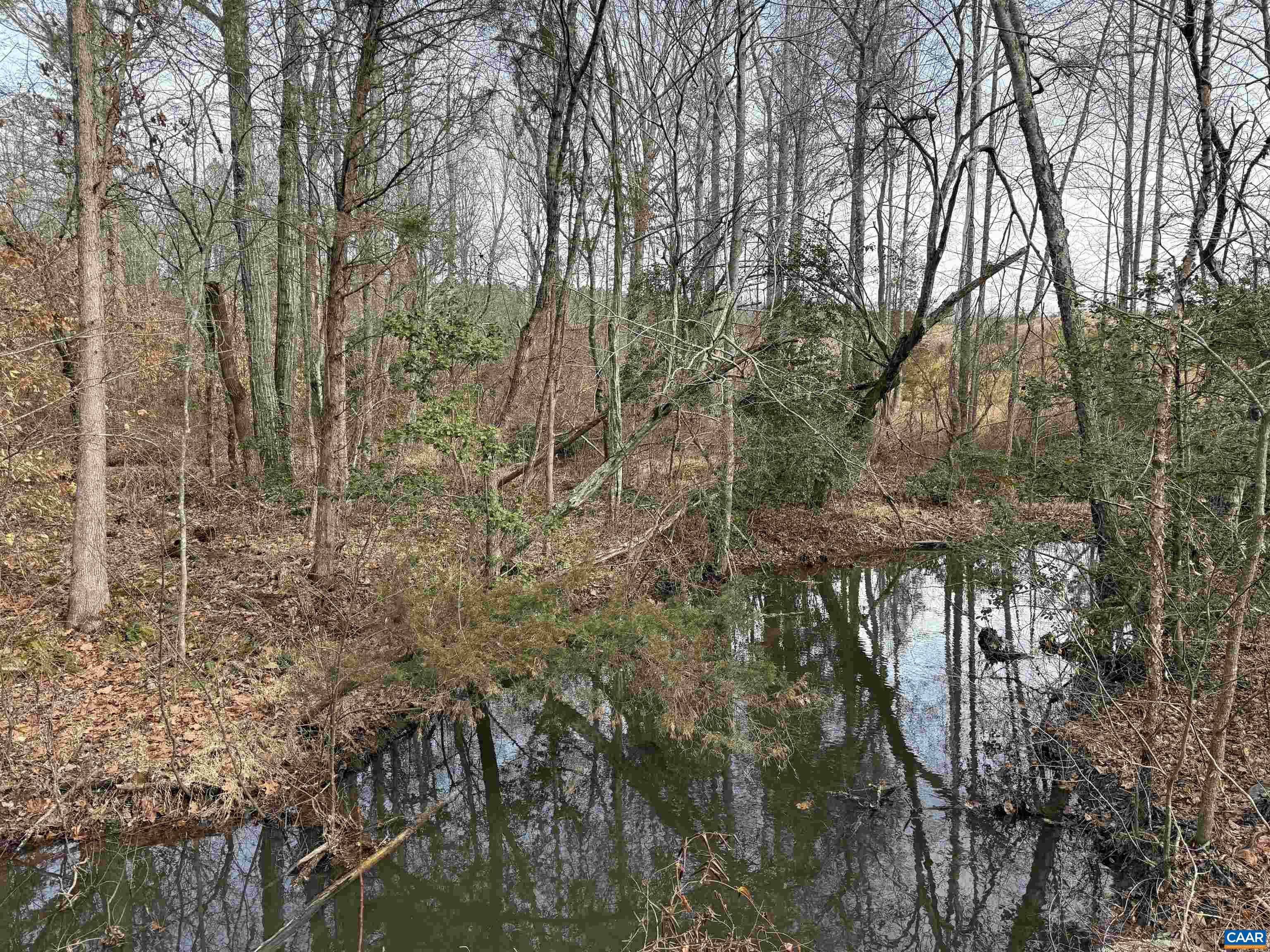 TBD Tract 1 COMMUNITY HOUSE RD, KENTS STORE, Virginia 23084, ,Land,TBD Tract 1 COMMUNITY HOUSE RD,681960 MLS # 681960