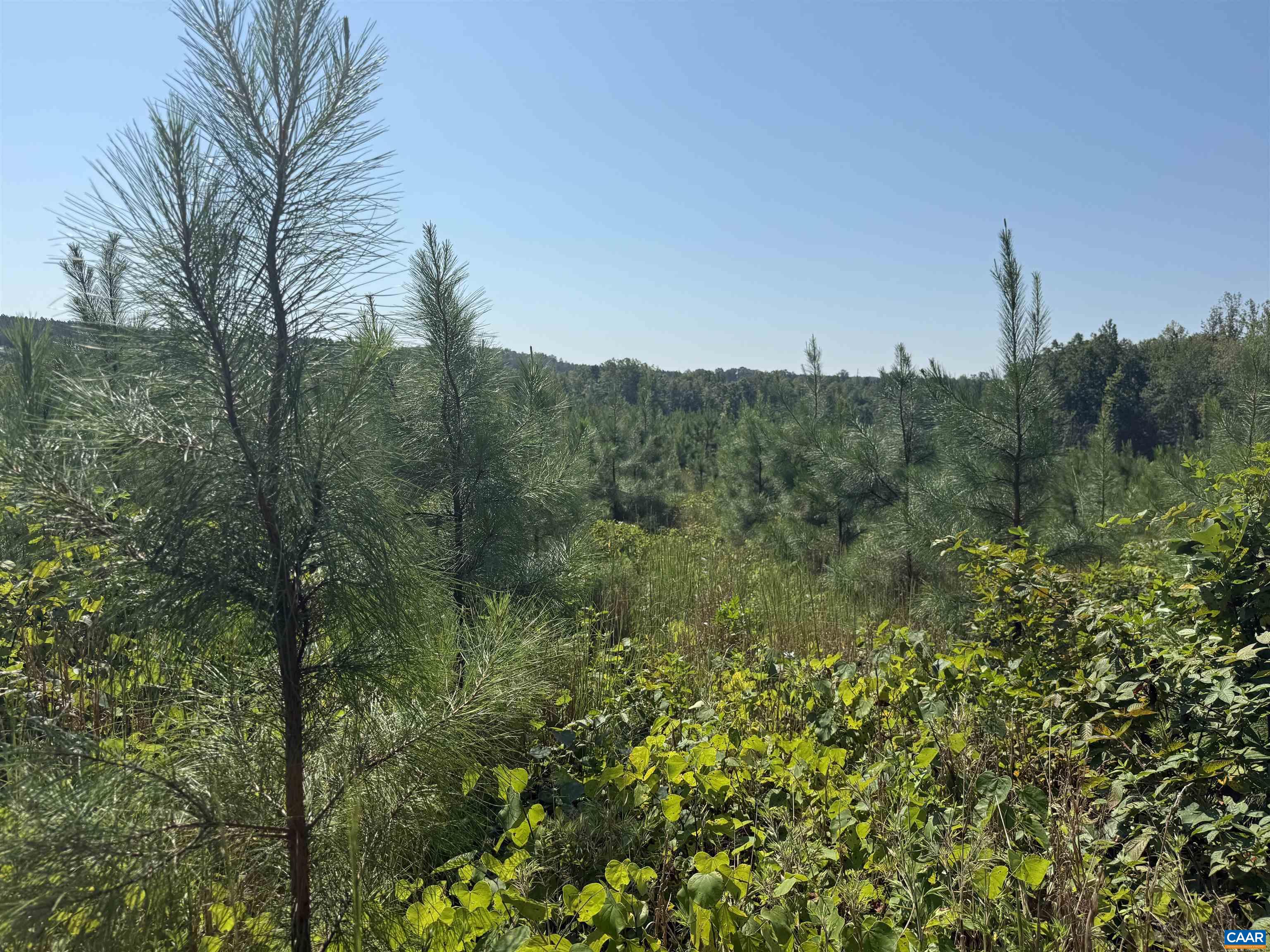 TBD Tract 1 COMMUNITY HOUSE RD, KENTS STORE, Virginia 23084, ,Land,TBD Tract 1 COMMUNITY HOUSE RD,681960 MLS # 681960