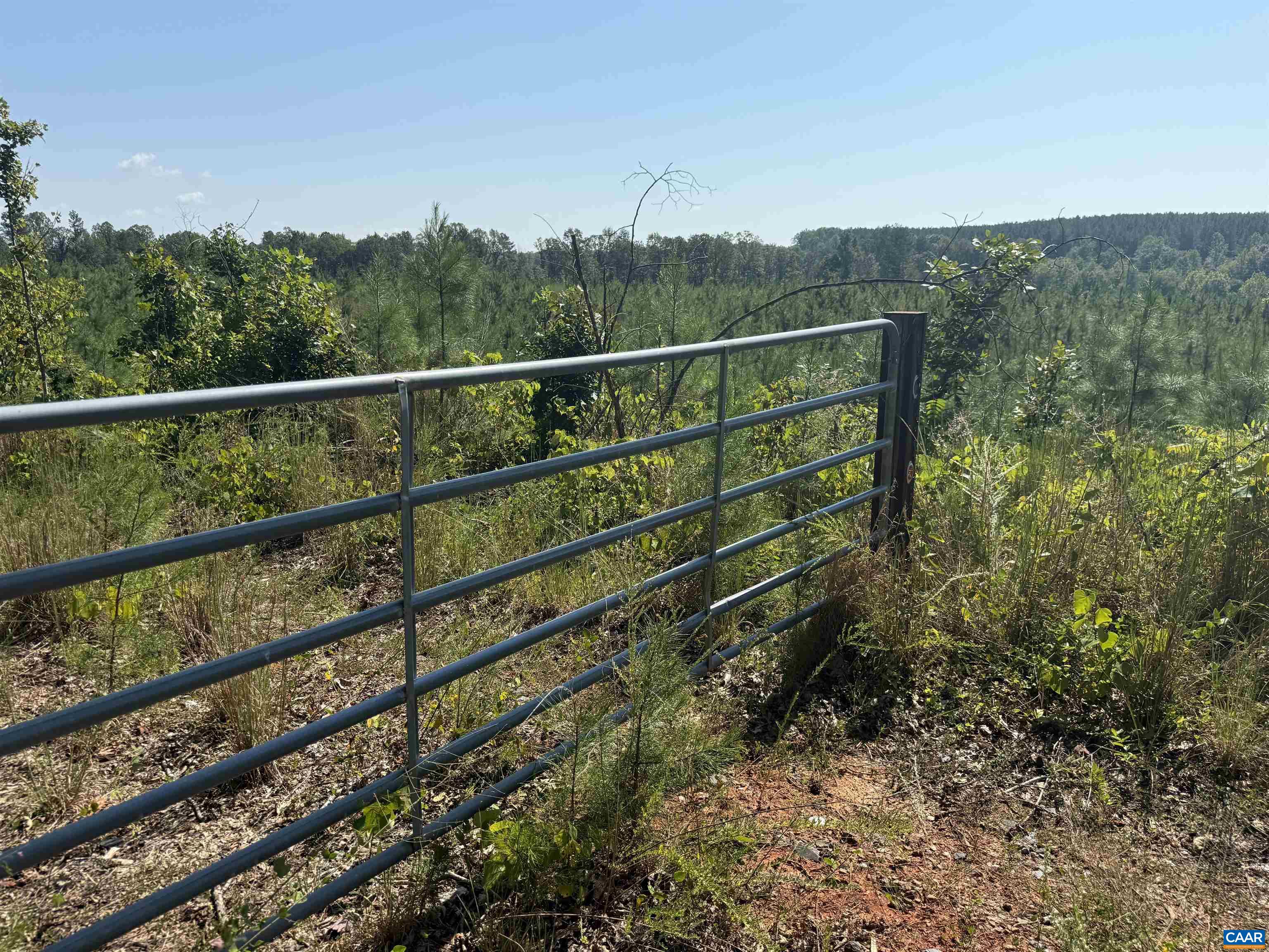 TBD Tract 1 COMMUNITY HOUSE RD, KENTS STORE, Virginia 23084, ,Land,TBD Tract 1 COMMUNITY HOUSE RD,681960 MLS # 681960