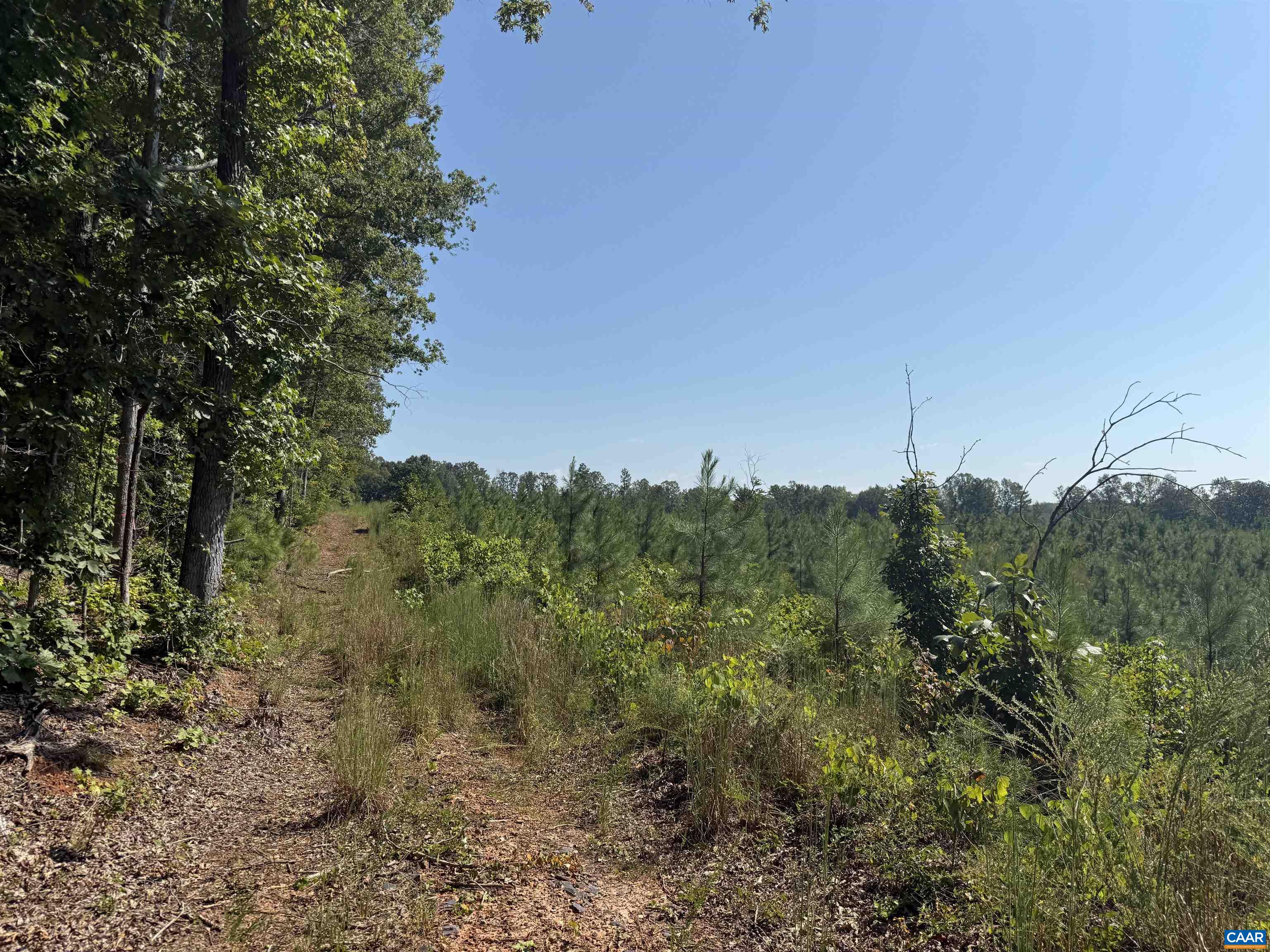 TBD Tract 1 COMMUNITY HOUSE RD, KENTS STORE, Virginia 23084, ,Land,TBD Tract 1 COMMUNITY HOUSE RD,681960 MLS # 681960