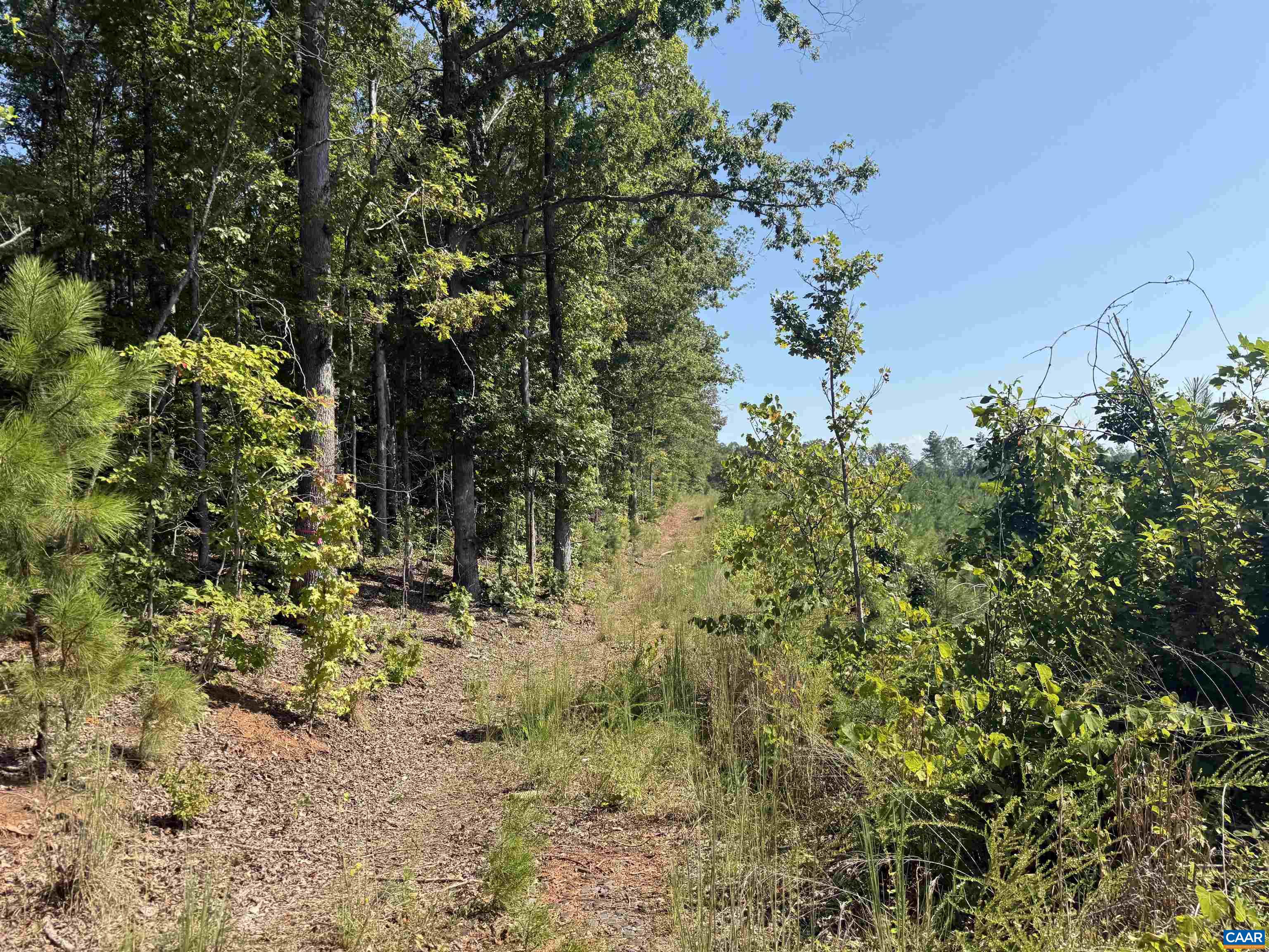 TBD Tract 1 COMMUNITY HOUSE RD, KENTS STORE, Virginia 23084, ,Land,TBD Tract 1 COMMUNITY HOUSE RD,681960 MLS # 681960