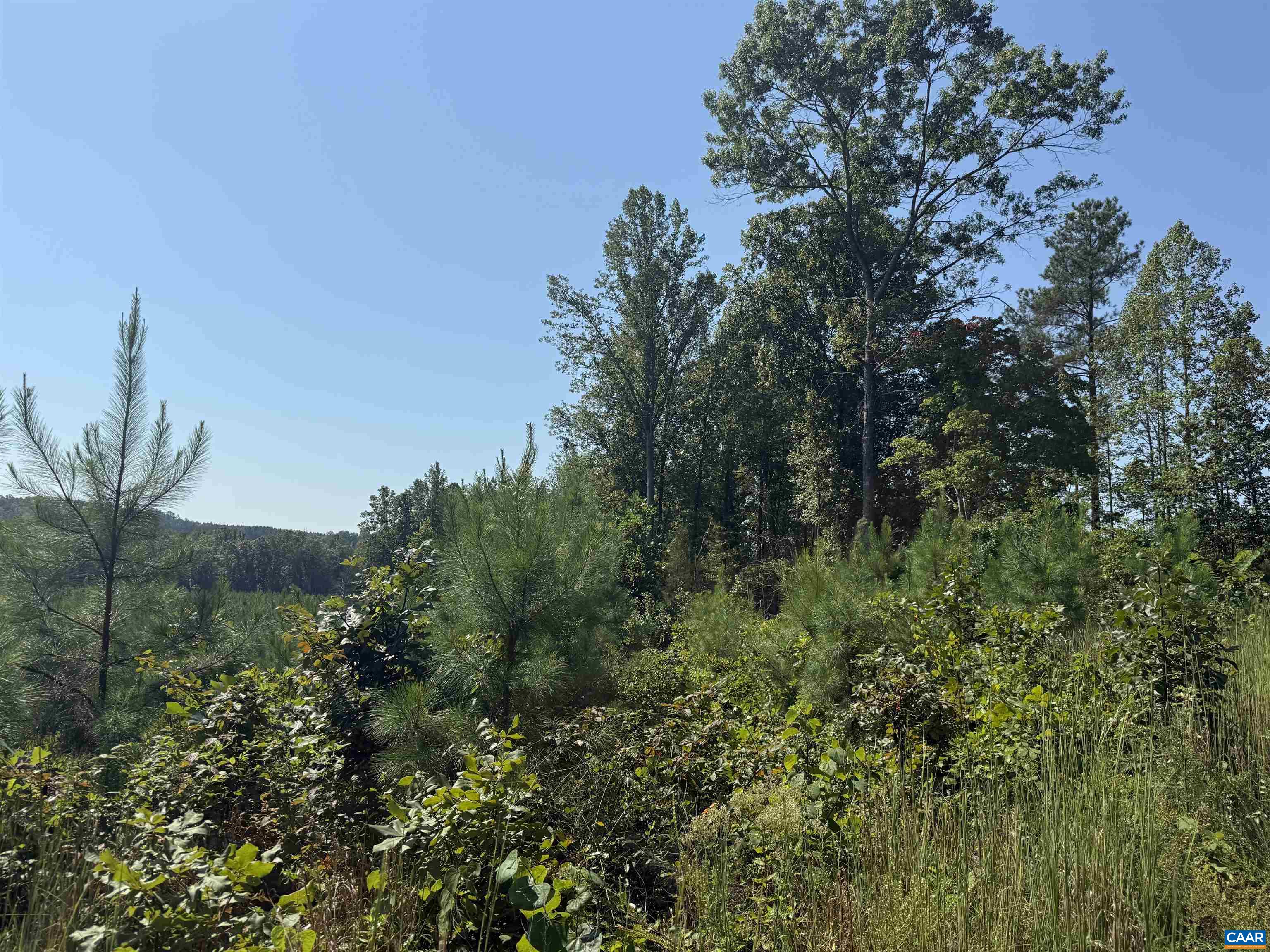 TBD Tract 1 COMMUNITY HOUSE RD, KENTS STORE, Virginia 23084, ,Land,TBD Tract 1 COMMUNITY HOUSE RD,681960 MLS # 681960