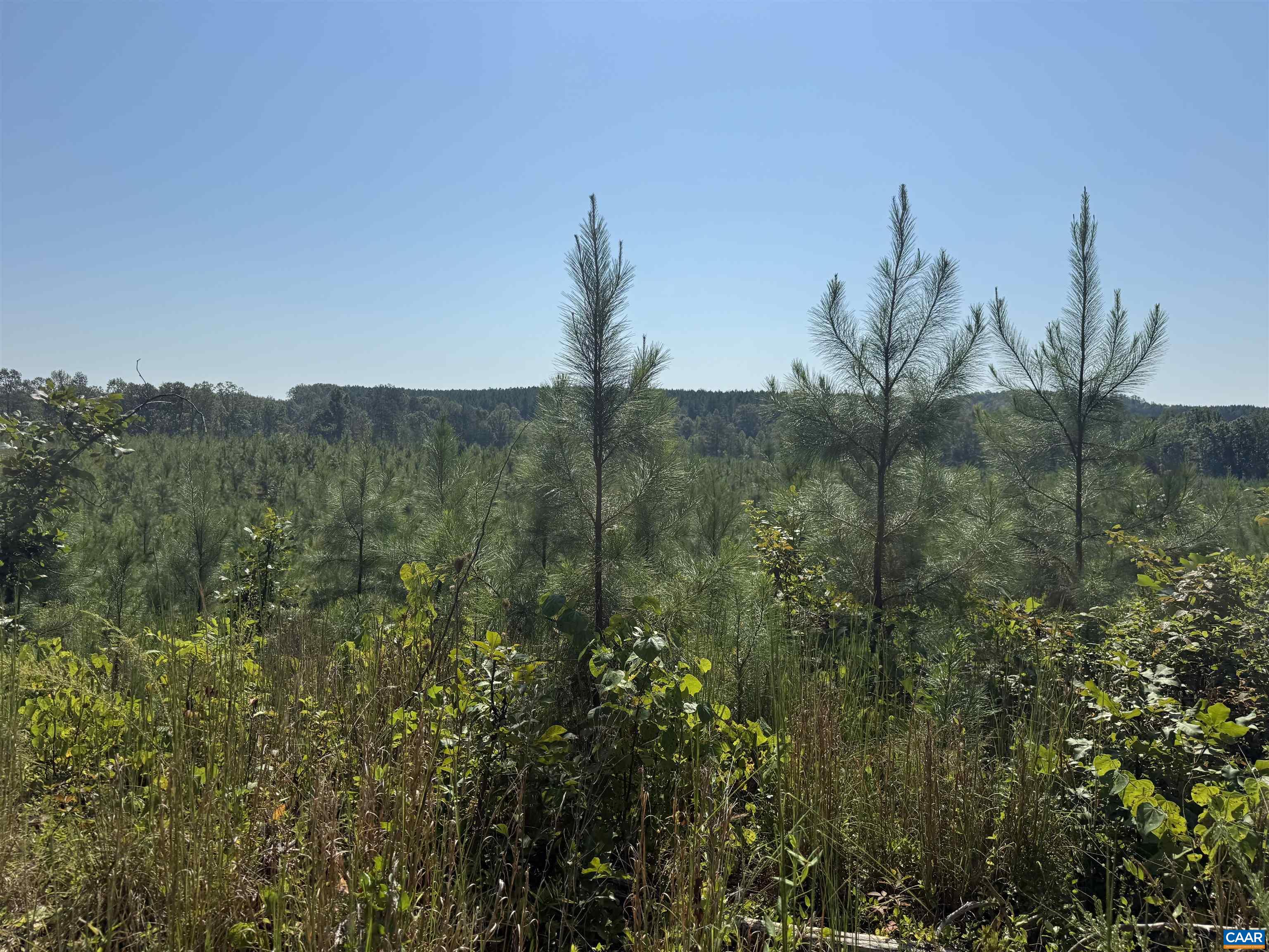TBD Tract 1 COMMUNITY HOUSE RD, KENTS STORE, Virginia 23084, ,Land,TBD Tract 1 COMMUNITY HOUSE RD,681960 MLS # 681960
