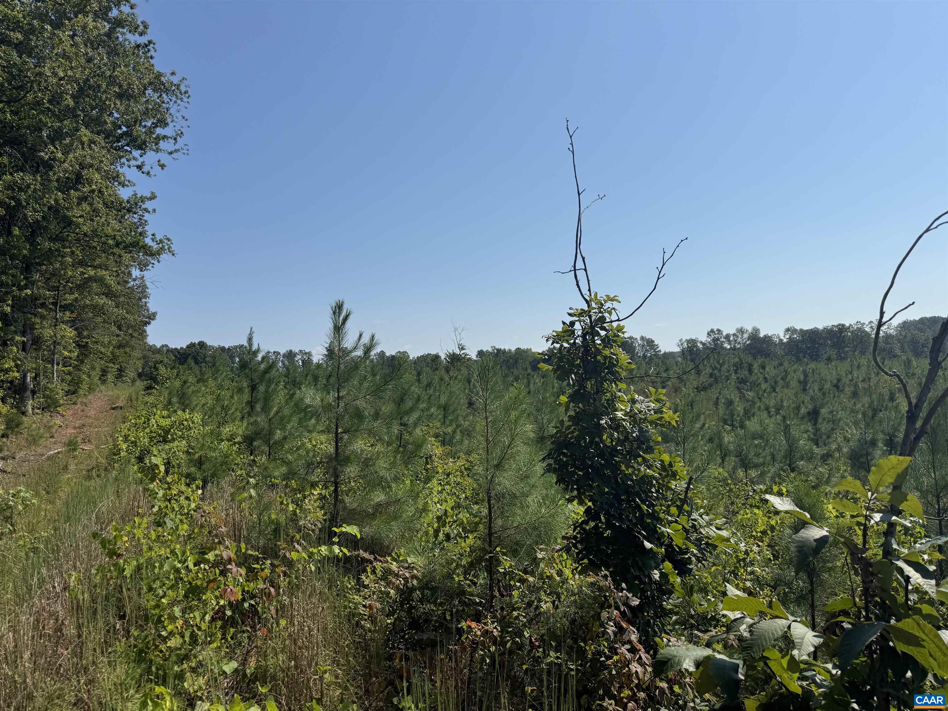 TBD Tract 1 COMMUNITY HOUSE RD, KENTS STORE, Virginia 23084, ,Land,TBD Tract 1 COMMUNITY HOUSE RD,681960 MLS # 681960