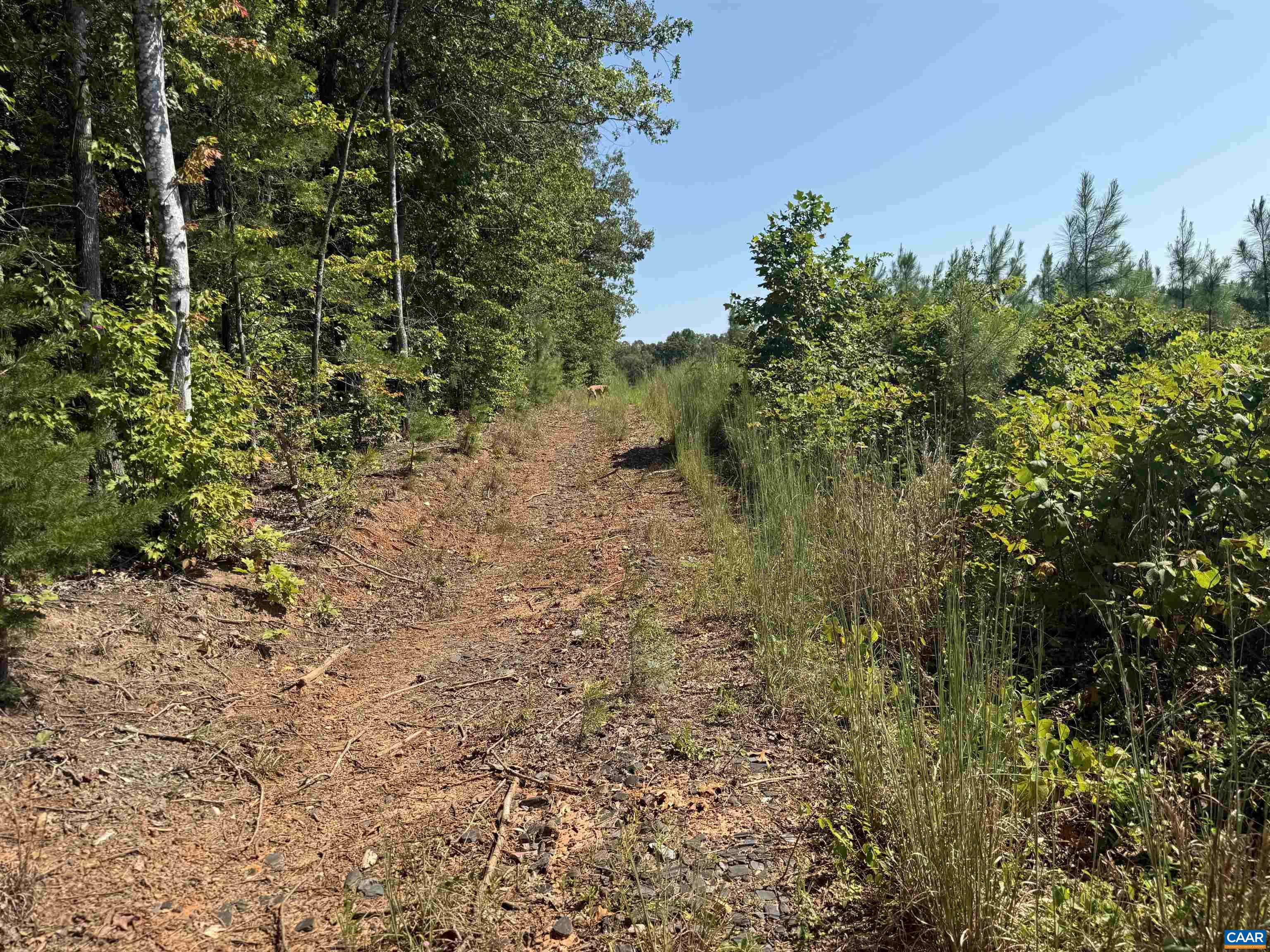 TBD Tract 1 COMMUNITY HOUSE RD, KENTS STORE, Virginia 23084, ,Land,TBD Tract 1 COMMUNITY HOUSE RD,681960 MLS # 681960