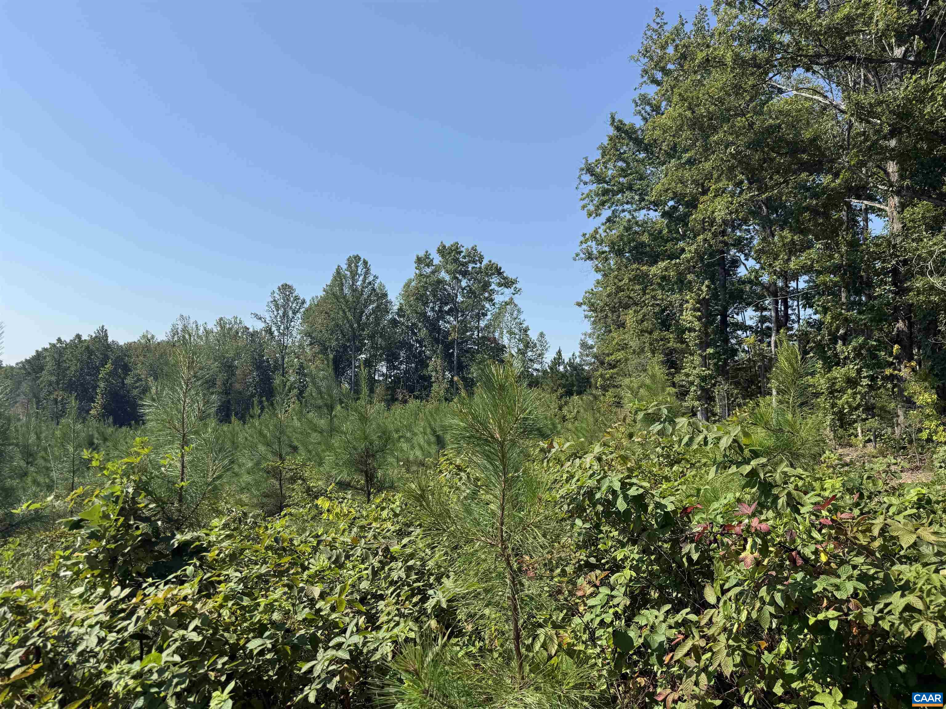 TBD Tract 1 COMMUNITY HOUSE RD, KENTS STORE, Virginia 23084, ,Land,TBD Tract 1 COMMUNITY HOUSE RD,681960 MLS # 681960