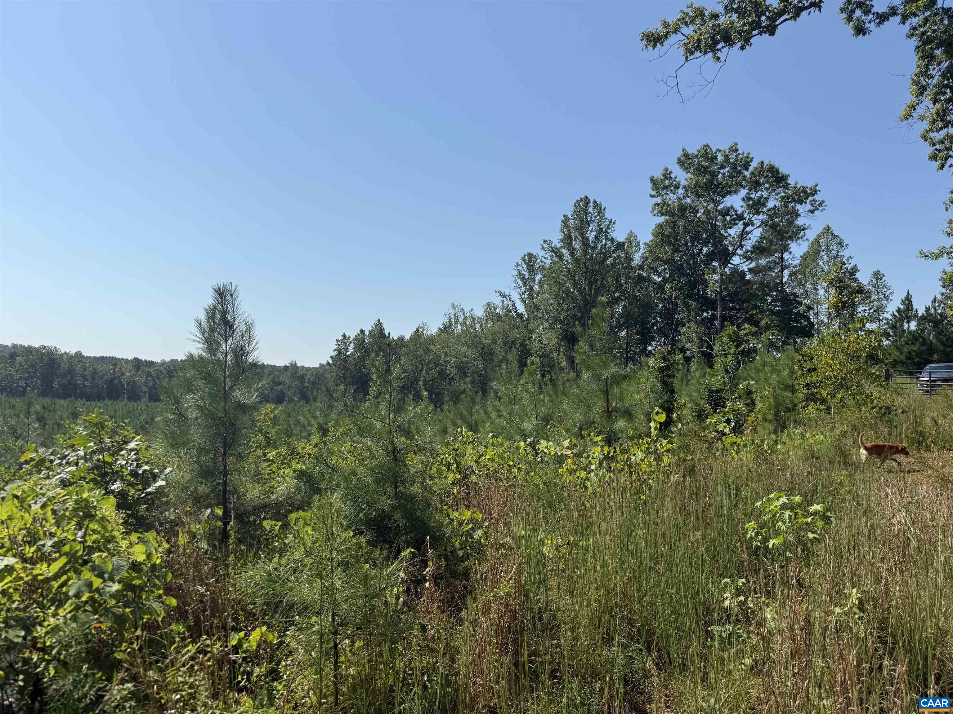 TBD Tract 1 COMMUNITY HOUSE RD, KENTS STORE, Virginia 23084, ,Land,TBD Tract 1 COMMUNITY HOUSE RD,681960 MLS # 681960