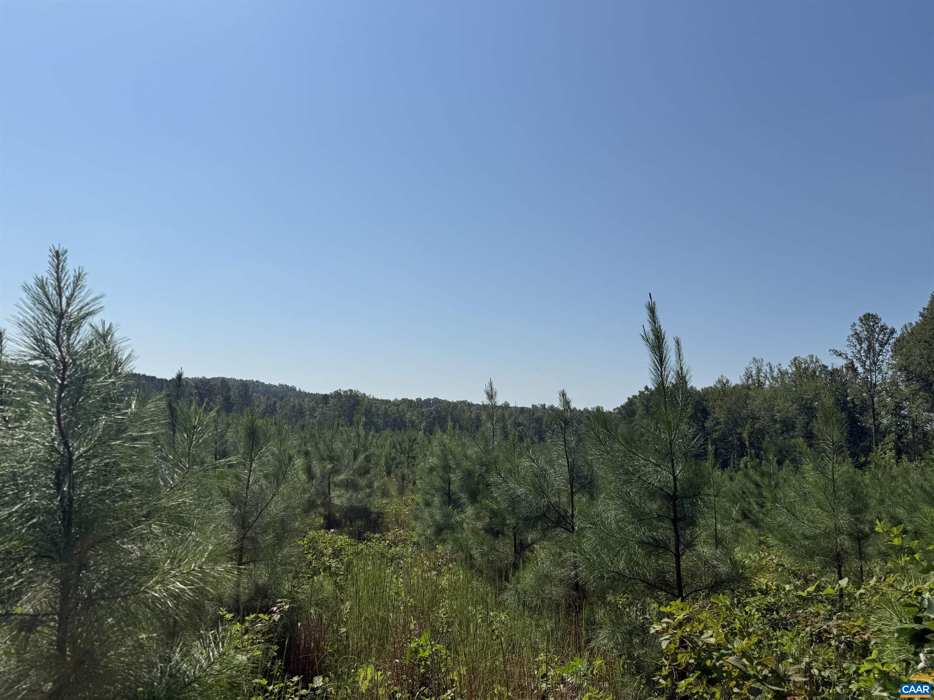 TBD Tract 1 COMMUNITY HOUSE RD, KENTS STORE, Virginia 23084, ,Land,TBD Tract 1 COMMUNITY HOUSE RD,681960 MLS # 681960