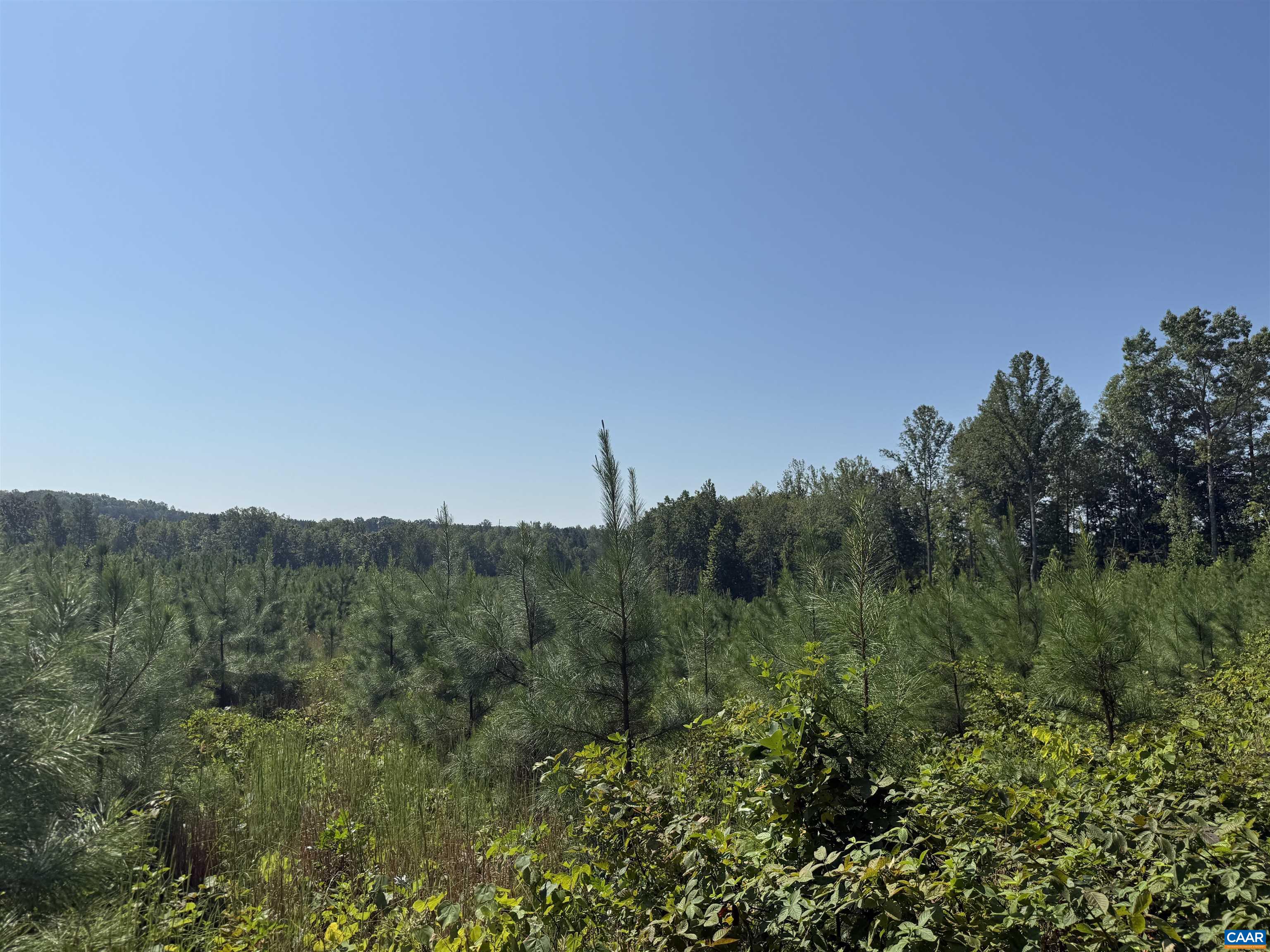 TBD Tract 1 COMMUNITY HOUSE RD, KENTS STORE, Virginia 23084, ,Land,TBD Tract 1 COMMUNITY HOUSE RD,681960 MLS # 681960