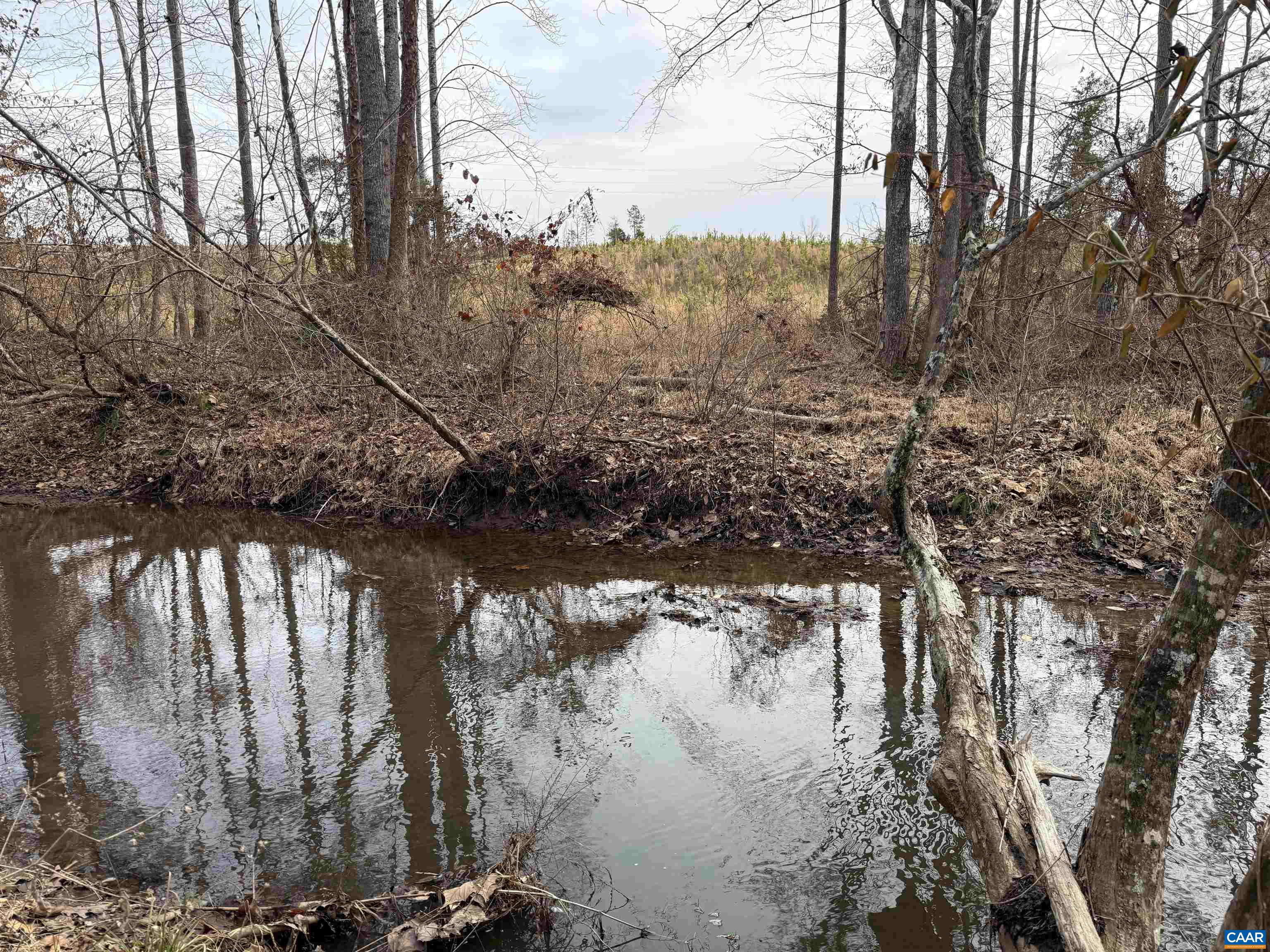 TBD Tract 1 COMMUNITY HOUSE RD, KENTS STORE, Virginia 23084, ,Land,TBD Tract 1 COMMUNITY HOUSE RD,681960 MLS # 681960