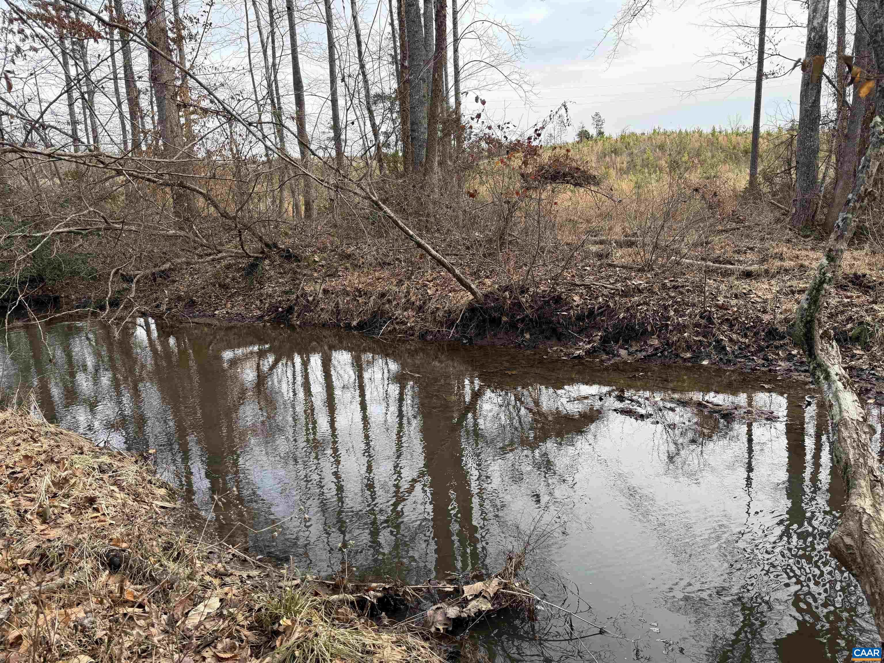TBD Tract 1 COMMUNITY HOUSE RD, KENTS STORE, Virginia 23084, ,Land,TBD Tract 1 COMMUNITY HOUSE RD,681960 MLS # 681960