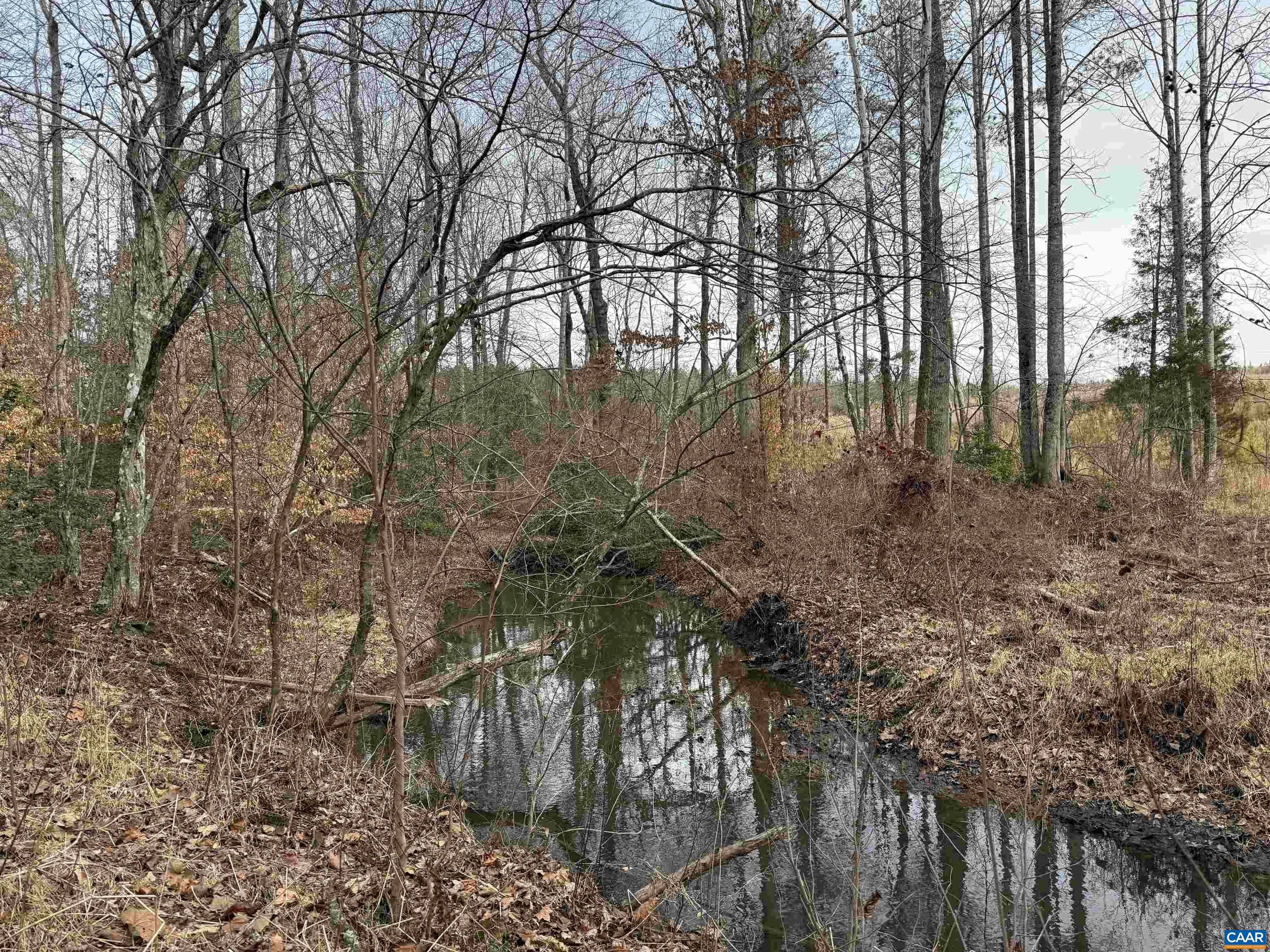 TBD Tract 1 COMMUNITY HOUSE RD, KENTS STORE, Virginia 23084, ,Land,TBD Tract 1 COMMUNITY HOUSE RD,681960 MLS # 681960