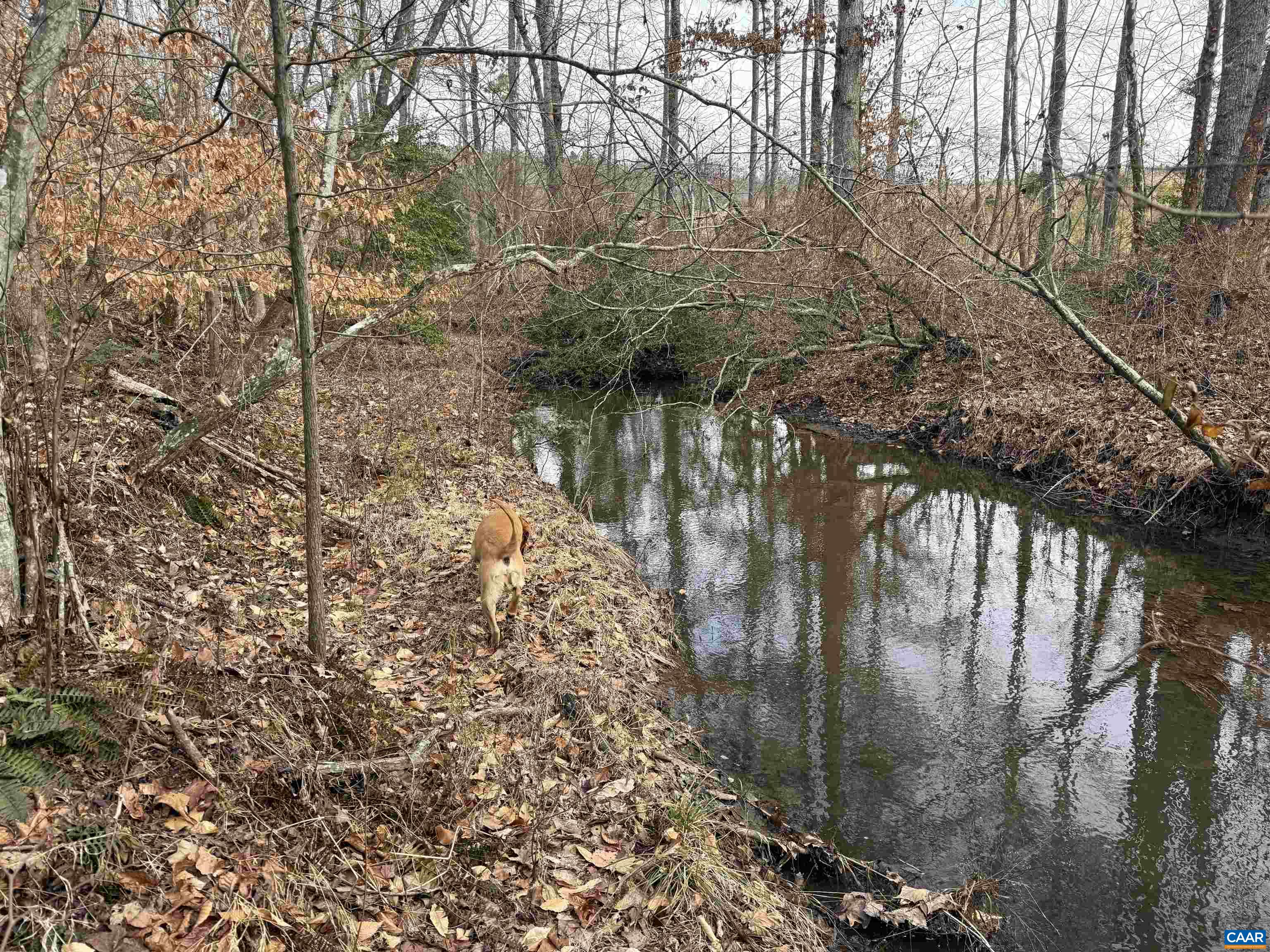 TBD Tract 1 COMMUNITY HOUSE RD, KENTS STORE, Virginia 23084, ,Land,TBD Tract 1 COMMUNITY HOUSE RD,681960 MLS # 681960