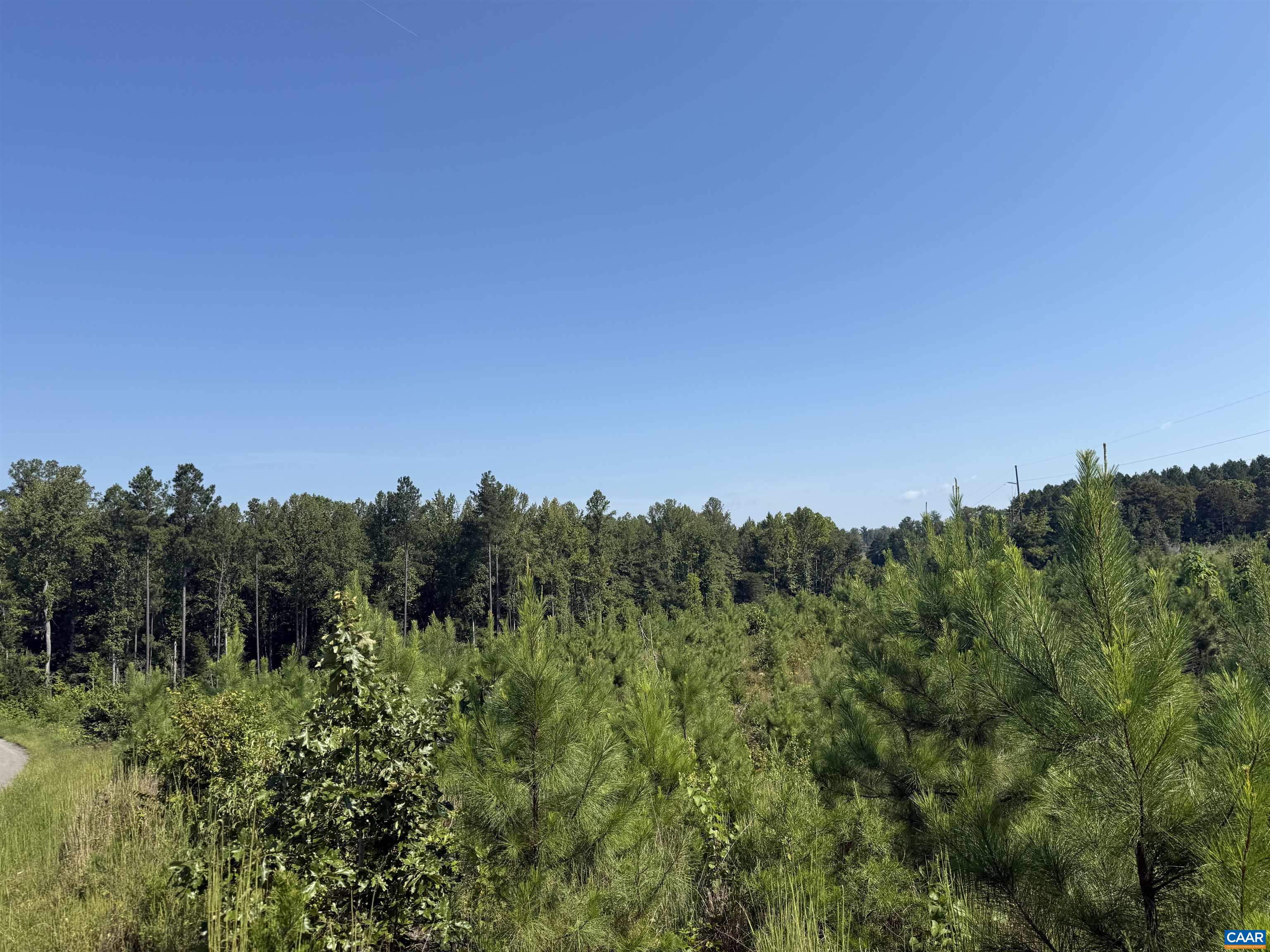 TBD Tract 1 COMMUNITY HOUSE RD, KENTS STORE, Virginia 23084, ,Land,TBD Tract 1 COMMUNITY HOUSE RD,681960 MLS # 681960