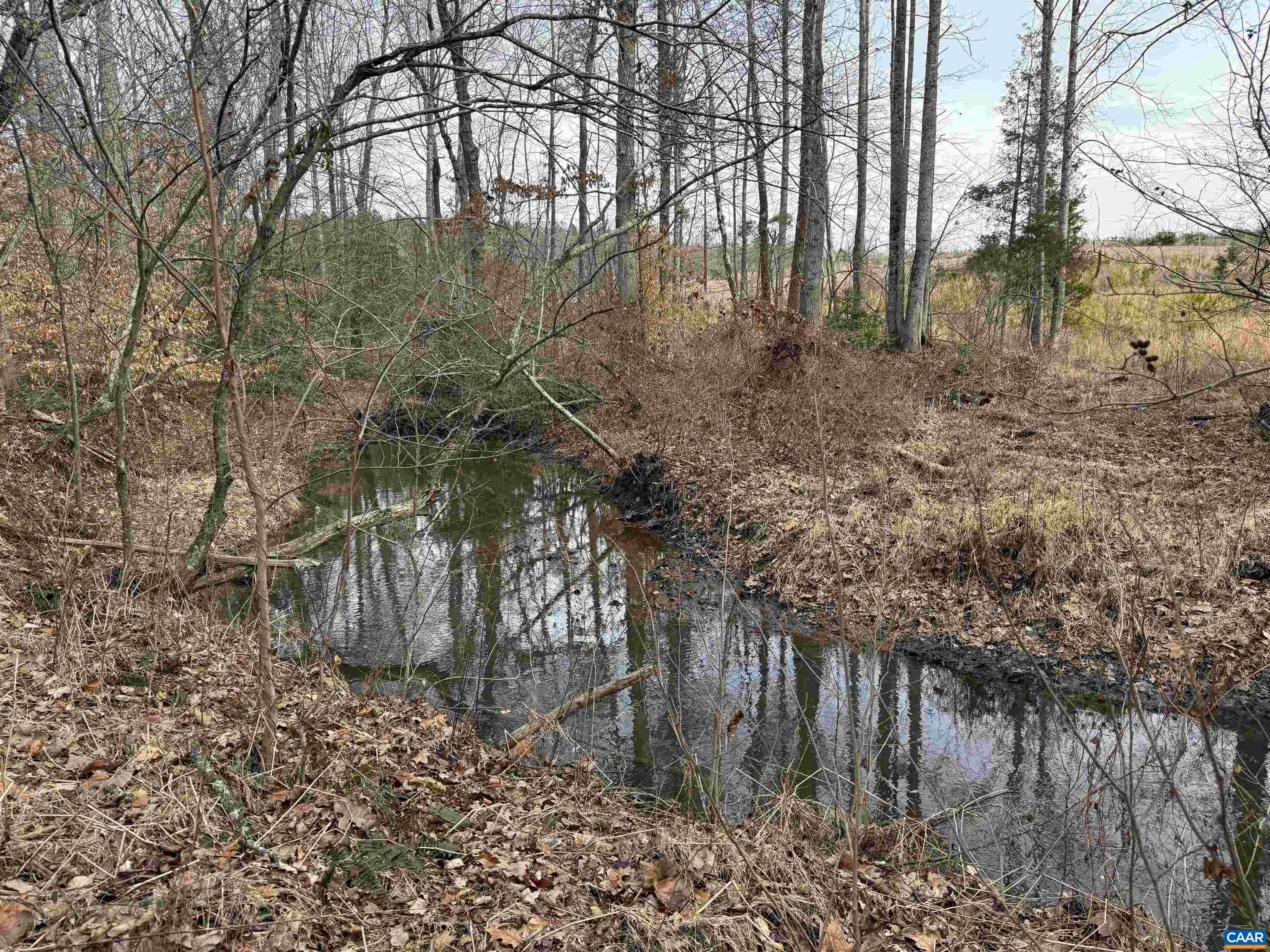 TBD Tract 1 COMMUNITY HOUSE RD, KENTS STORE, Virginia 23084, ,Land,TBD Tract 1 COMMUNITY HOUSE RD,681960 MLS # 681960