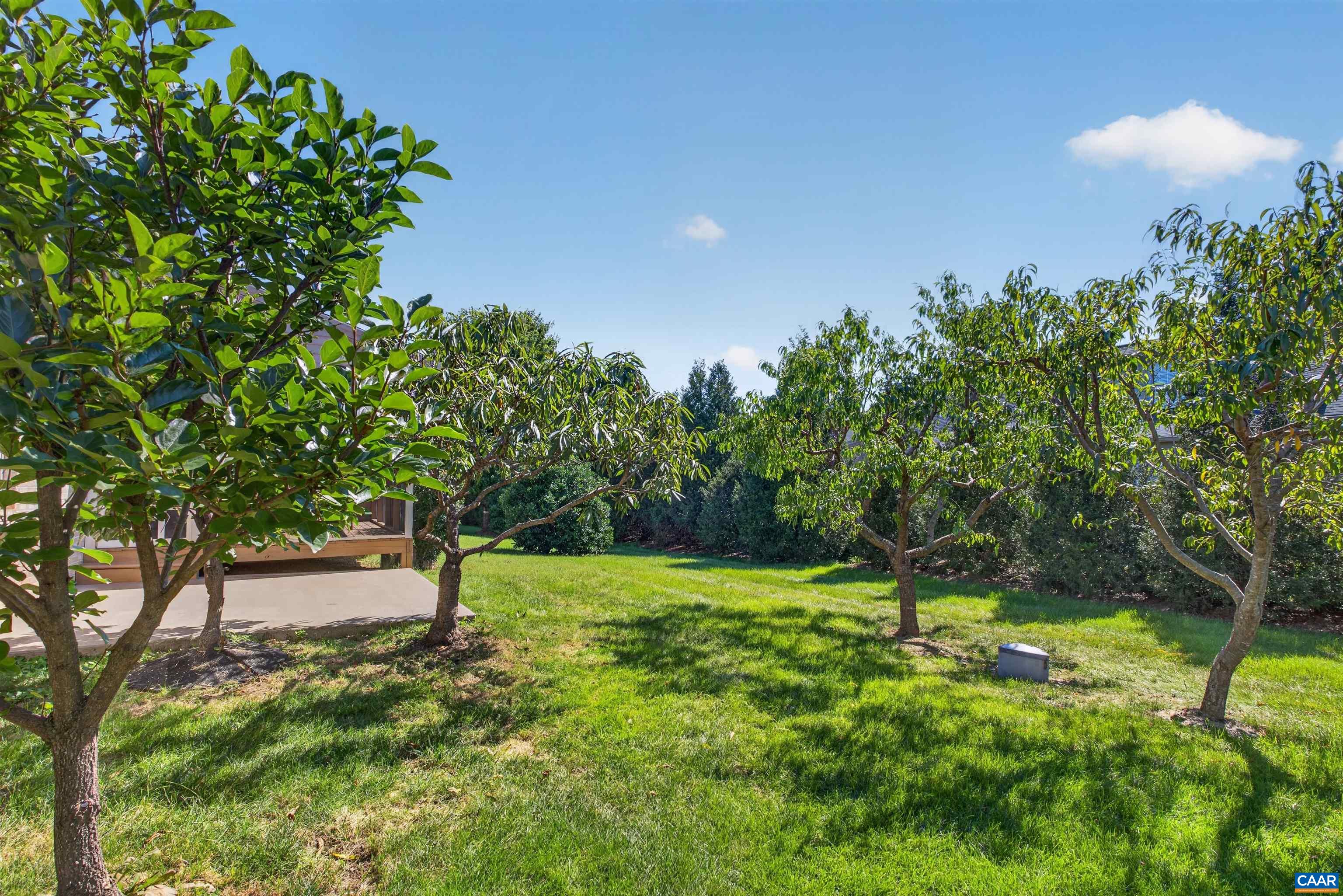 312 LAUREL WOOD RUN, WAYNESBORO, Virginia 22980, 3 Bedrooms Bedrooms, ,3 BathroomsBathrooms,Residential,312 LAUREL WOOD RUN,681828 MLS # 681828
