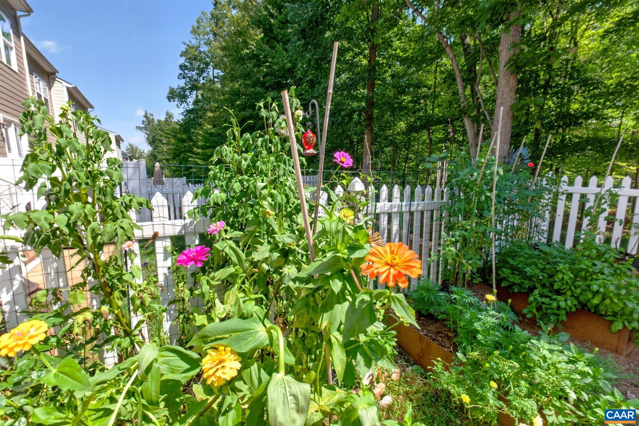 2032 BETHPAGE CT, CHARLOTTESVILLE, Virginia 22901, 3 Bedrooms Bedrooms, ,2 BathroomsBathrooms,Residential,2032 BETHPAGE CT,682016 MLS # 682016 2032 BETHPAGE CT, CHARLOTTESVILLE, Virginia 22901, 3 Bedrooms Bedrooms, ,2 BathroomsBathrooms,Residential,2032 BETHPAGE CT,682016 MLS # 682016