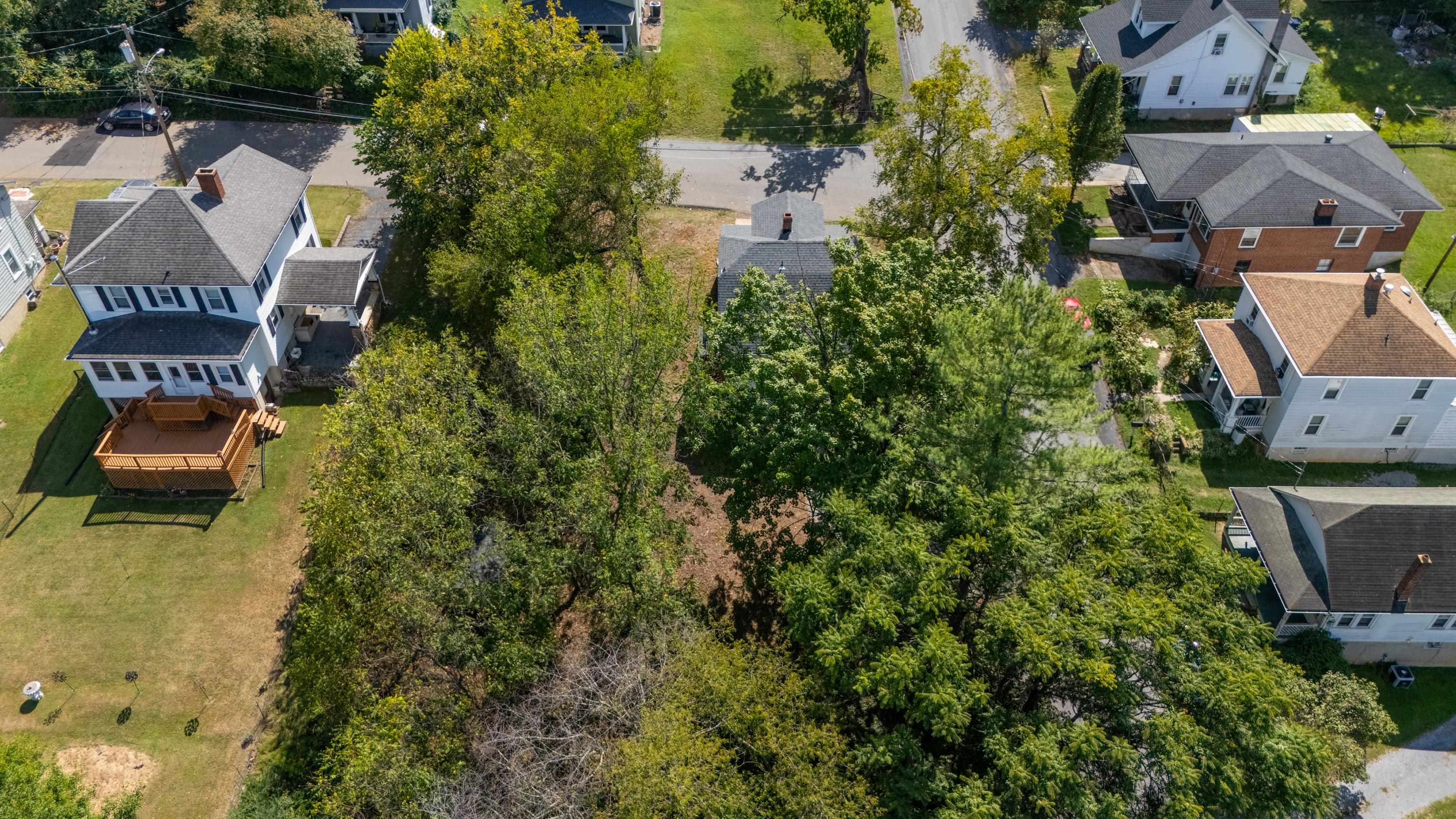 221 W PEABODY ST, STAUNTON, Virginia 24401, 3 Bedrooms Bedrooms, ,2 BathroomsBathrooms,Residential,221 W PEABODY ST,682027 MLS # 682027