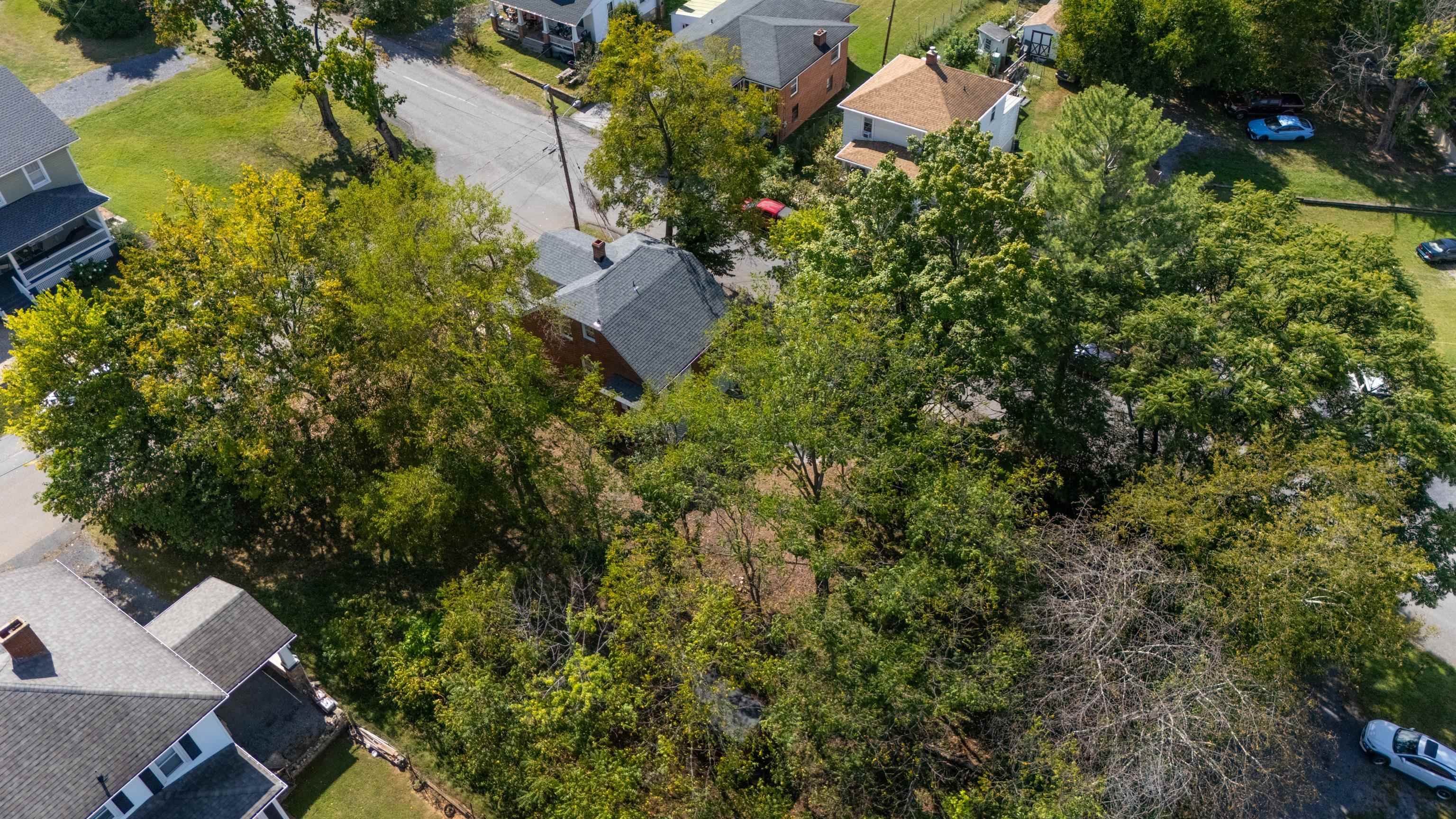 221 W PEABODY ST, STAUNTON, Virginia 24401, 3 Bedrooms Bedrooms, ,2 BathroomsBathrooms,Residential,221 W PEABODY ST,682027 MLS # 682027