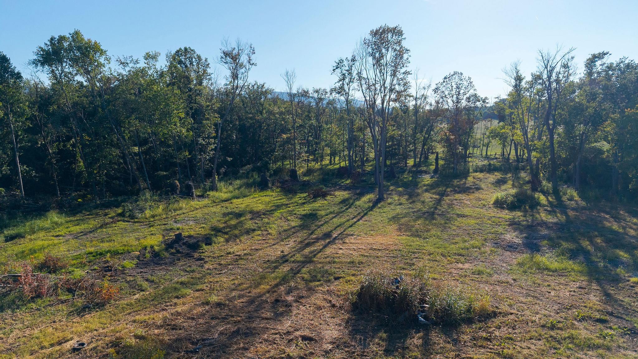 403 HOWARDSVILLE TPKE, STUARTS DRAFT, Virginia 24477, ,Land,403 HOWARDSVILLE TPKE,682053 MLS # 682053