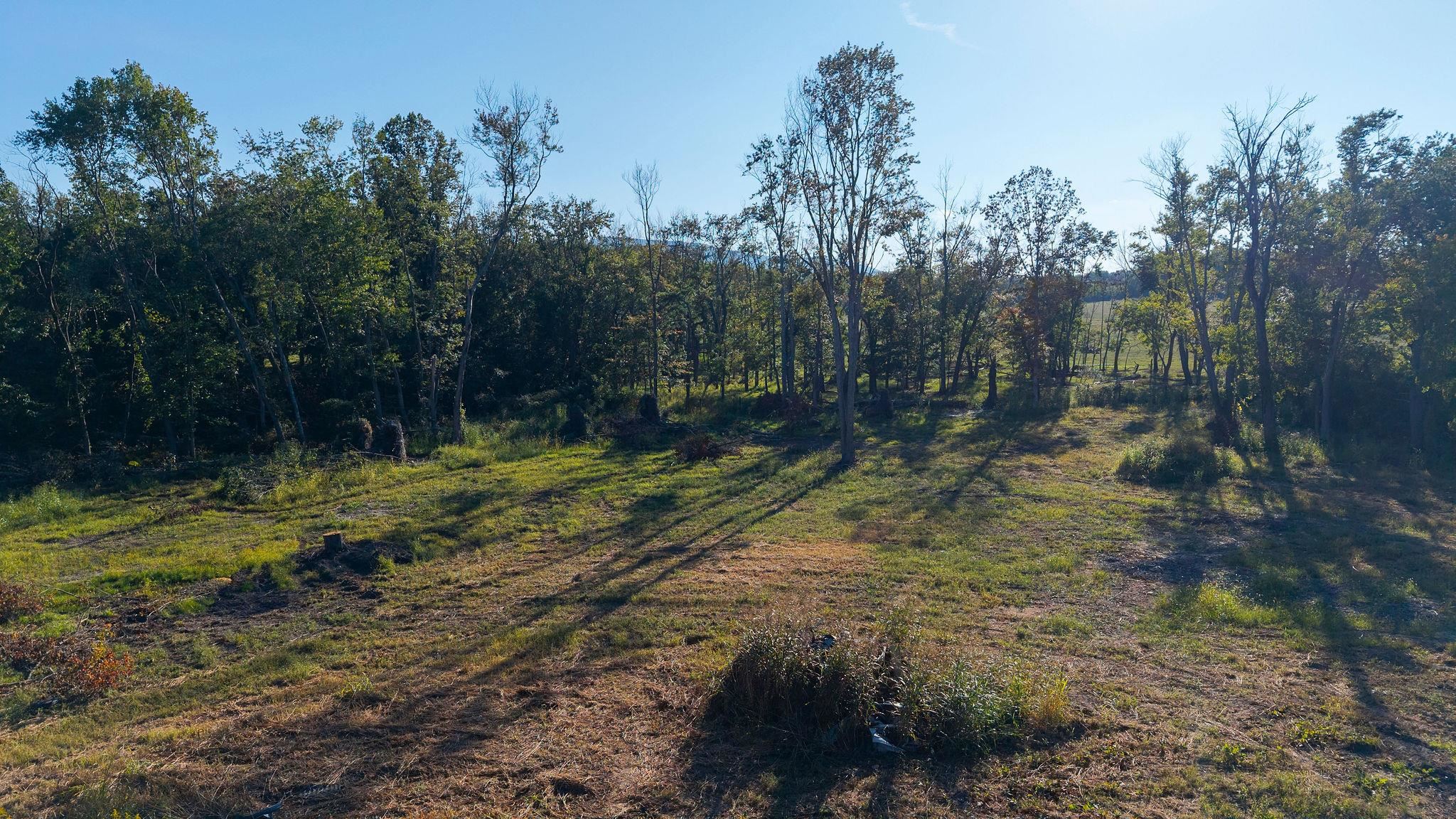 403 HOWARDSVILLE TPKE, STUARTS DRAFT, Virginia 24477, ,Land,403 HOWARDSVILLE TPKE,682053 MLS # 682053