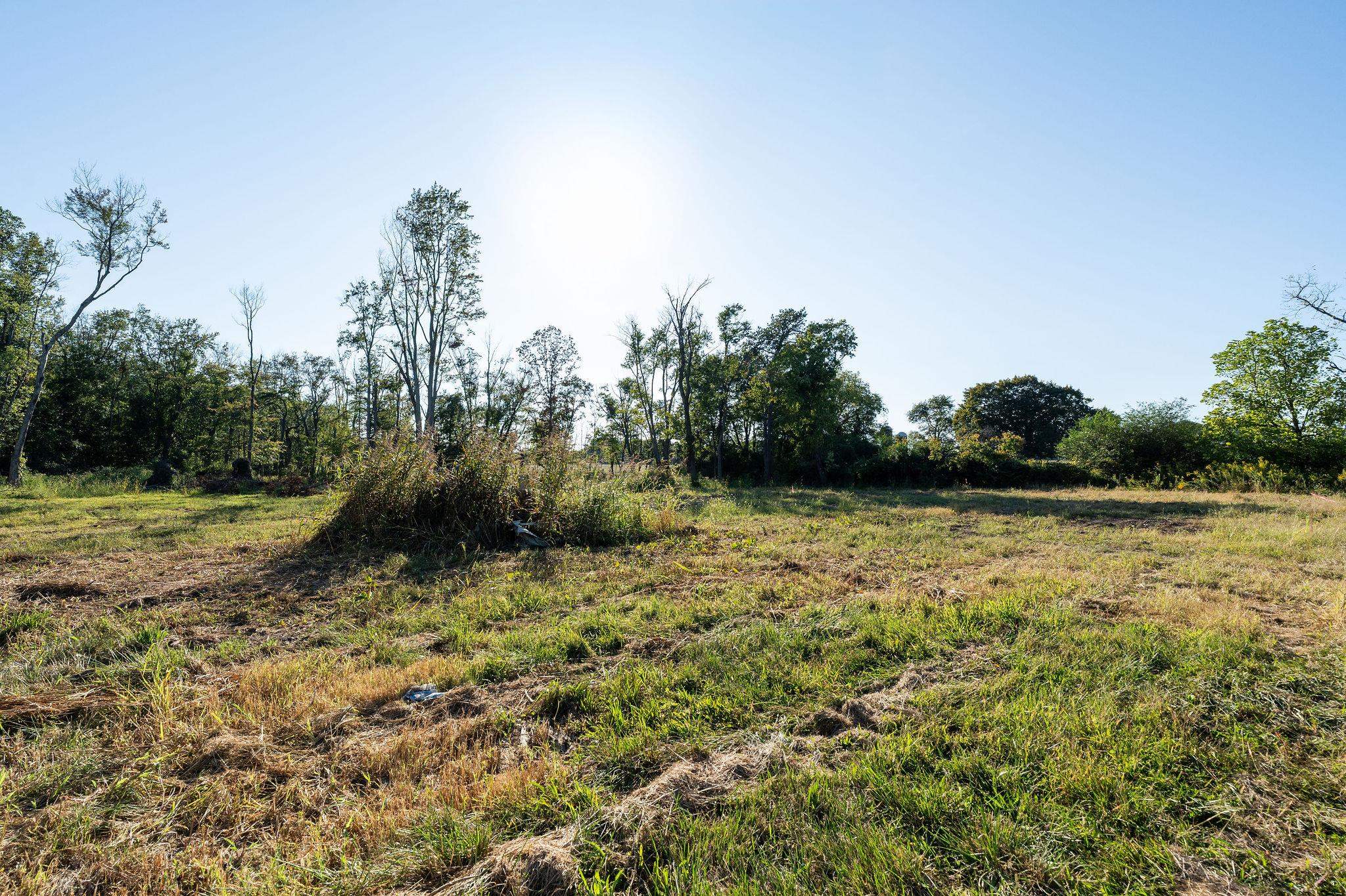 403 HOWARDSVILLE TPKE, STUARTS DRAFT, Virginia 24477, ,Land,403 HOWARDSVILLE TPKE,682053 MLS # 682053