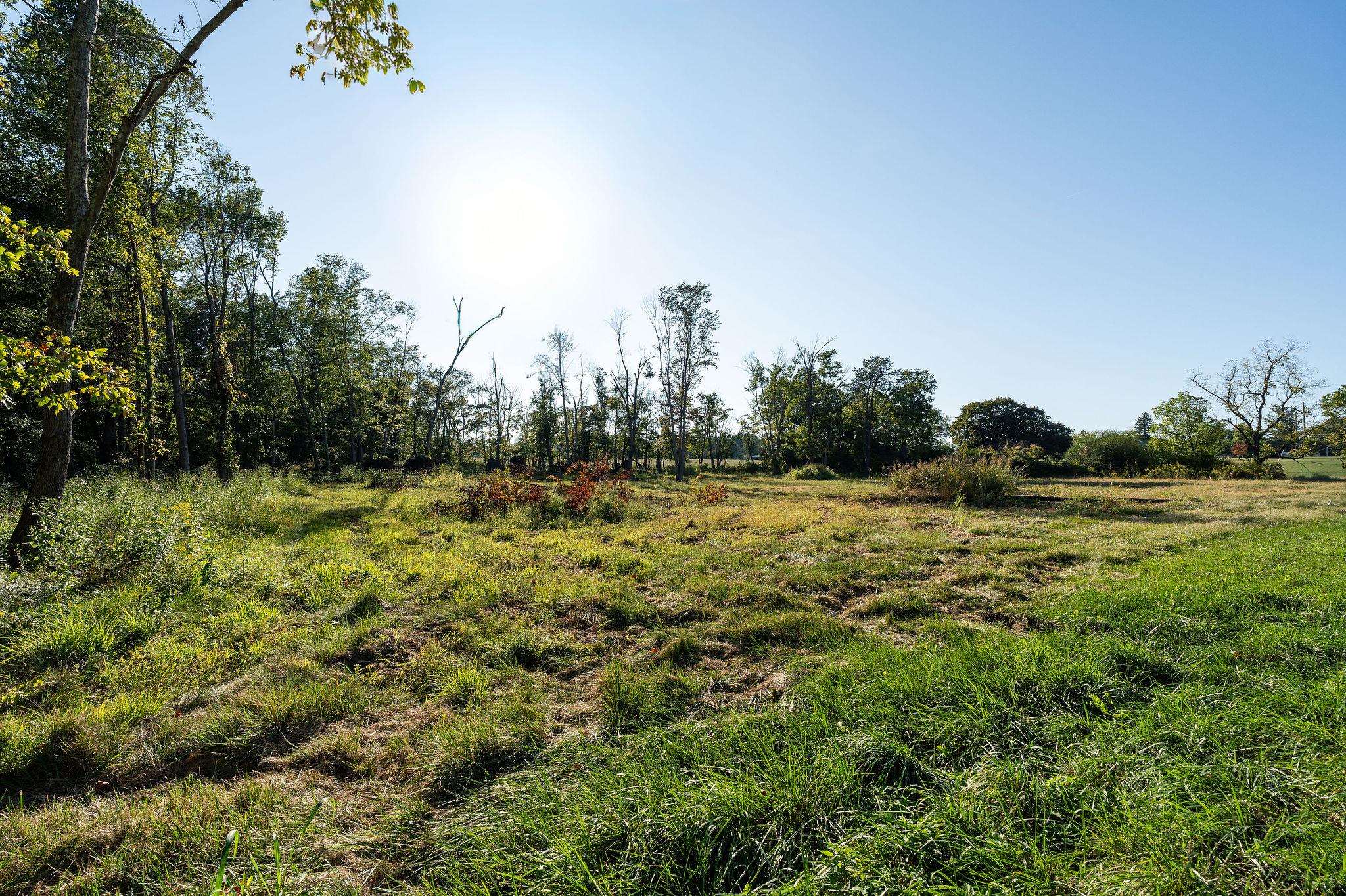 403 HOWARDSVILLE TPKE, STUARTS DRAFT, Virginia 24477, ,Land,403 HOWARDSVILLE TPKE,682053 MLS # 682053