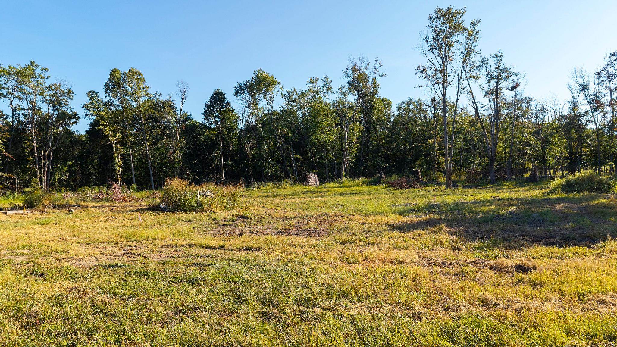 403 HOWARDSVILLE TPKE, STUARTS DRAFT, Virginia 24477, ,Land,403 HOWARDSVILLE TPKE,682053 MLS # 682053