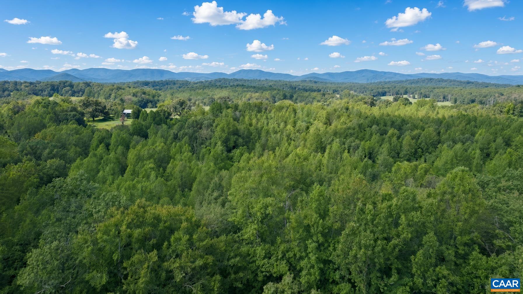 4650 MILL RUN LN, EARLYSVILLE, Virginia 22936, 3 Bedrooms Bedrooms, ,2 BathroomsBathrooms,Residential,4650 MILL RUN LN,681927 MLS # 681927 4650 MILL RUN LN, EARLYSVILLE, Virginia 22936, 3 Bedrooms Bedrooms, ,2 BathroomsBathrooms,Residential,4650 MILL RUN LN,681927 MLS # 681927