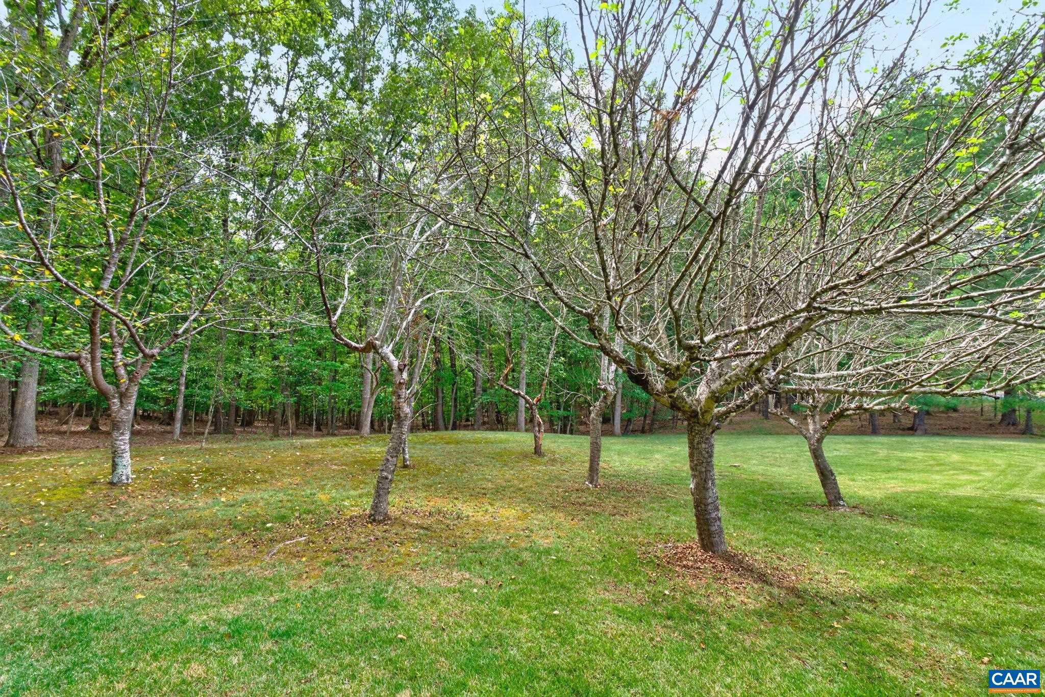 723 SOUTH KESWICK DR, TROY, Virginia 22974, 3 Bedrooms Bedrooms, ,3 BathroomsBathrooms,Residential,723 SOUTH KESWICK DR,681977 MLS # 681977 723 SOUTH KESWICK DR, TROY, Virginia 22974, 3 Bedrooms Bedrooms, ,3 BathroomsBathrooms,Residential,723 SOUTH KESWICK DR,681977 MLS # 681977