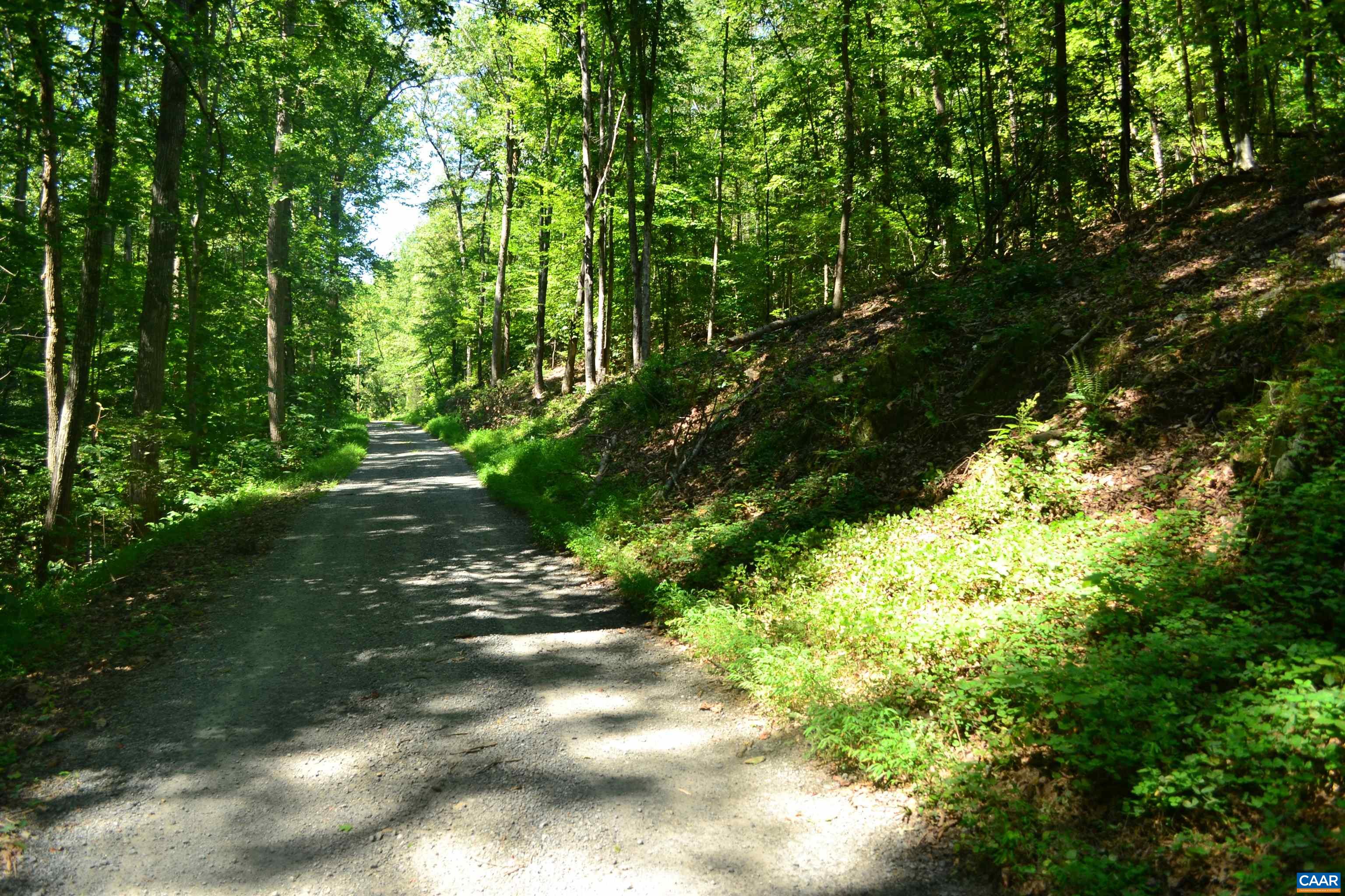 TBD DAMON RD, SCHUYLER, Virginia 22969, ,Land,TBD DAMON RD,682062 MLS # 682062