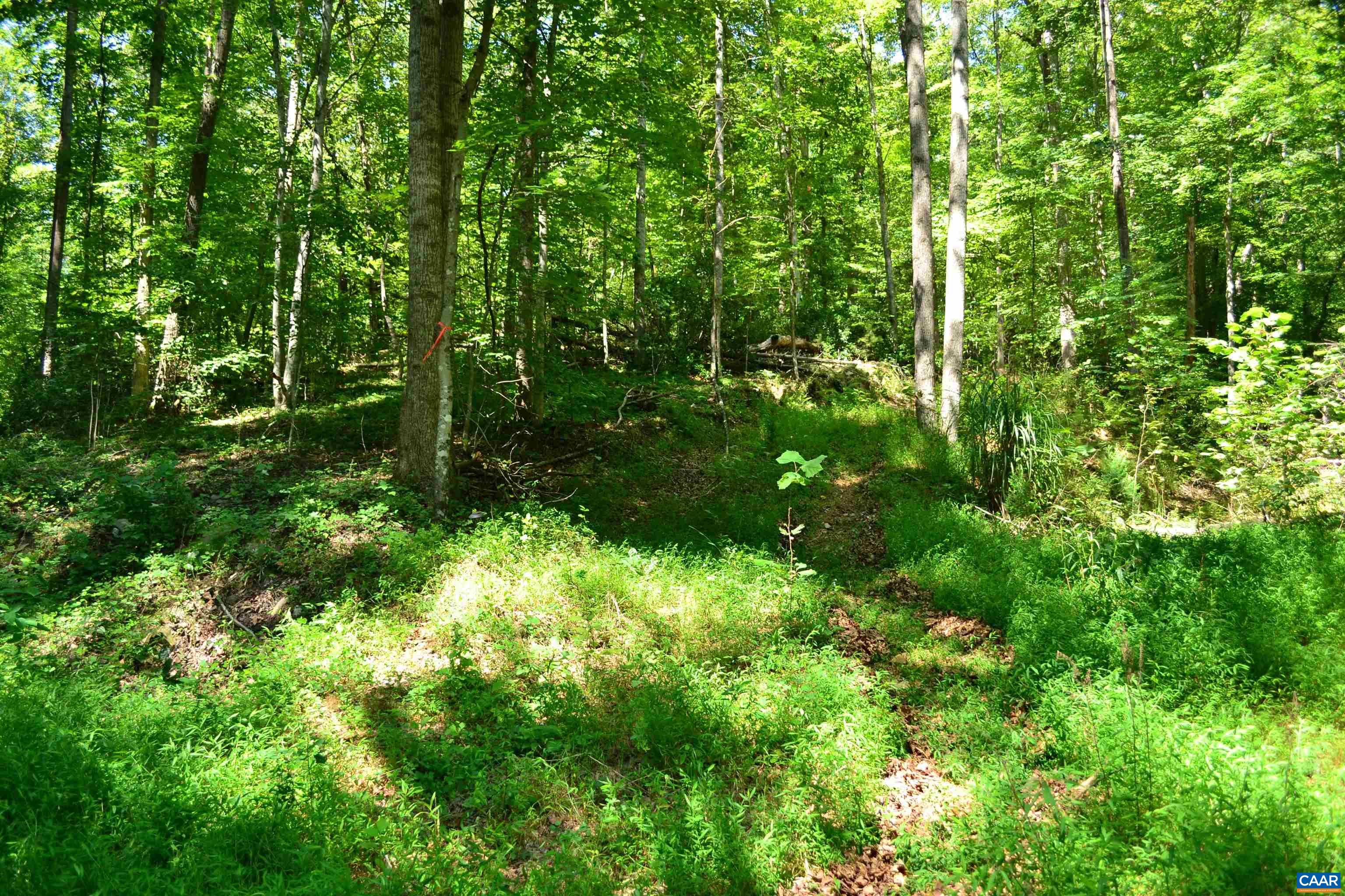 TBD DAMON RD, SCHUYLER, Virginia 22969, ,Land,TBD DAMON RD,682062 MLS # 682062 TBD DAMON RD, SCHUYLER, Virginia 22969, ,Land,TBD DAMON RD,682062 MLS # 682062