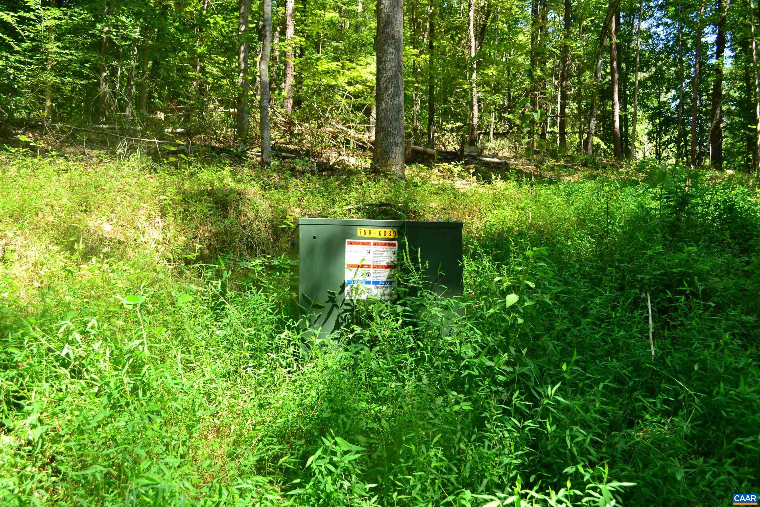 TBD DAMON RD, SCHUYLER, Virginia 22969, ,Land,TBD DAMON RD,682062 MLS # 682062 TBD DAMON RD, SCHUYLER, Virginia 22969, ,Land,TBD DAMON RD,682062 MLS # 682062