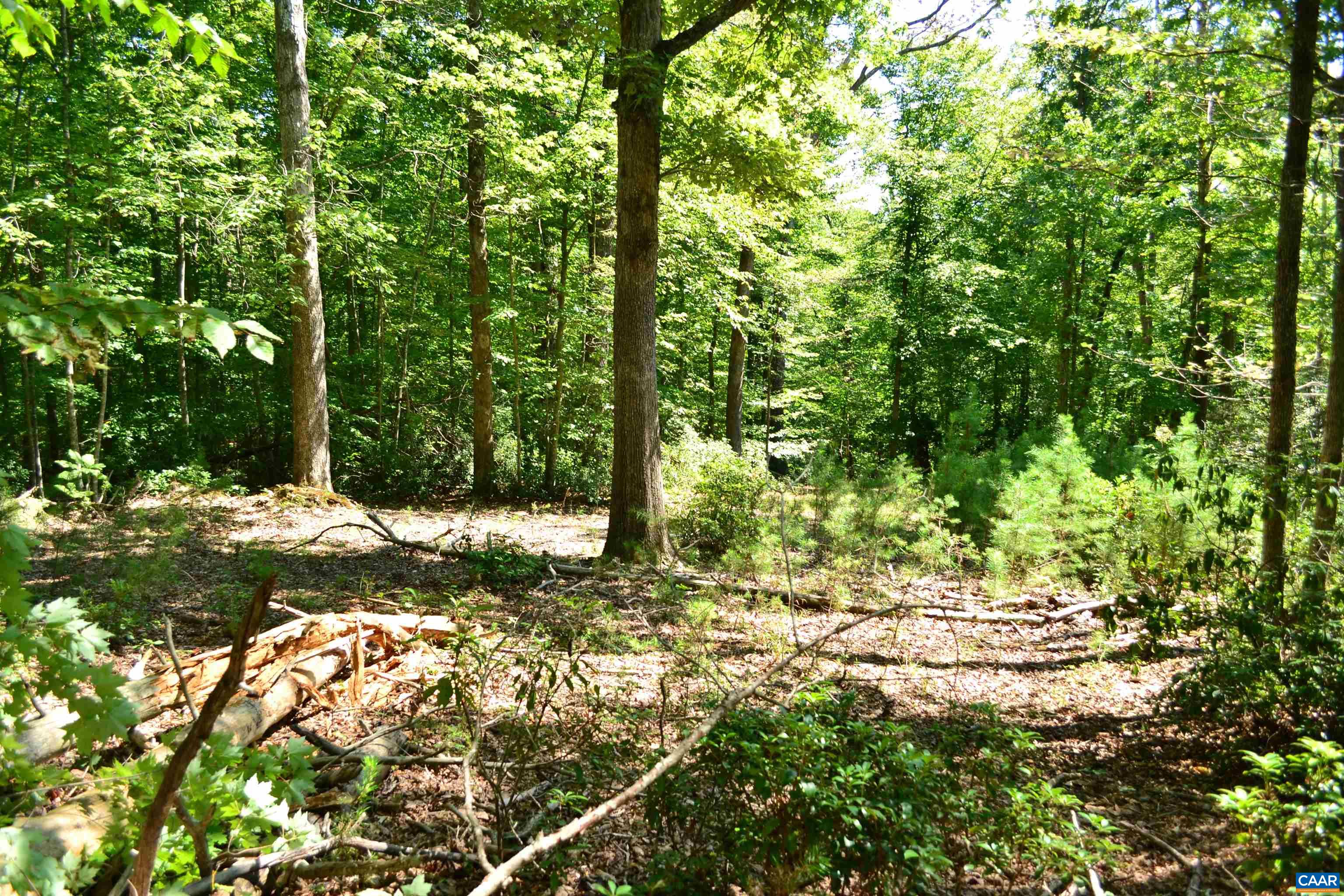 TBD DAMON RD, SCHUYLER, Virginia 22969, ,Land,TBD DAMON RD,682062 MLS # 682062 TBD DAMON RD, SCHUYLER, Virginia 22969, ,Land,TBD DAMON RD,682062 MLS # 682062