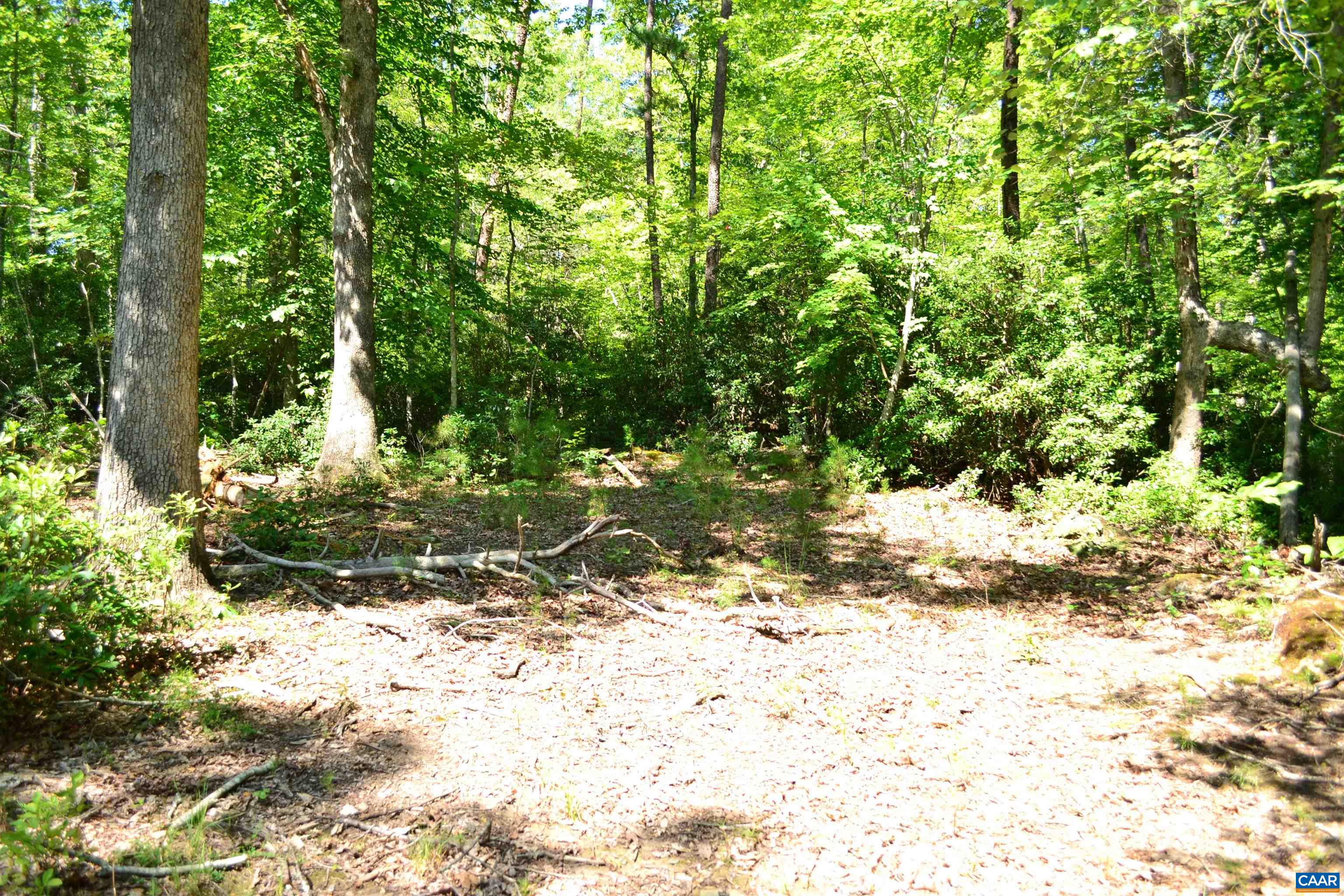 TBD DAMON RD, SCHUYLER, Virginia 22969, ,Land,TBD DAMON RD,682062 MLS # 682062 TBD DAMON RD, SCHUYLER, Virginia 22969, ,Land,TBD DAMON RD,682062 MLS # 682062