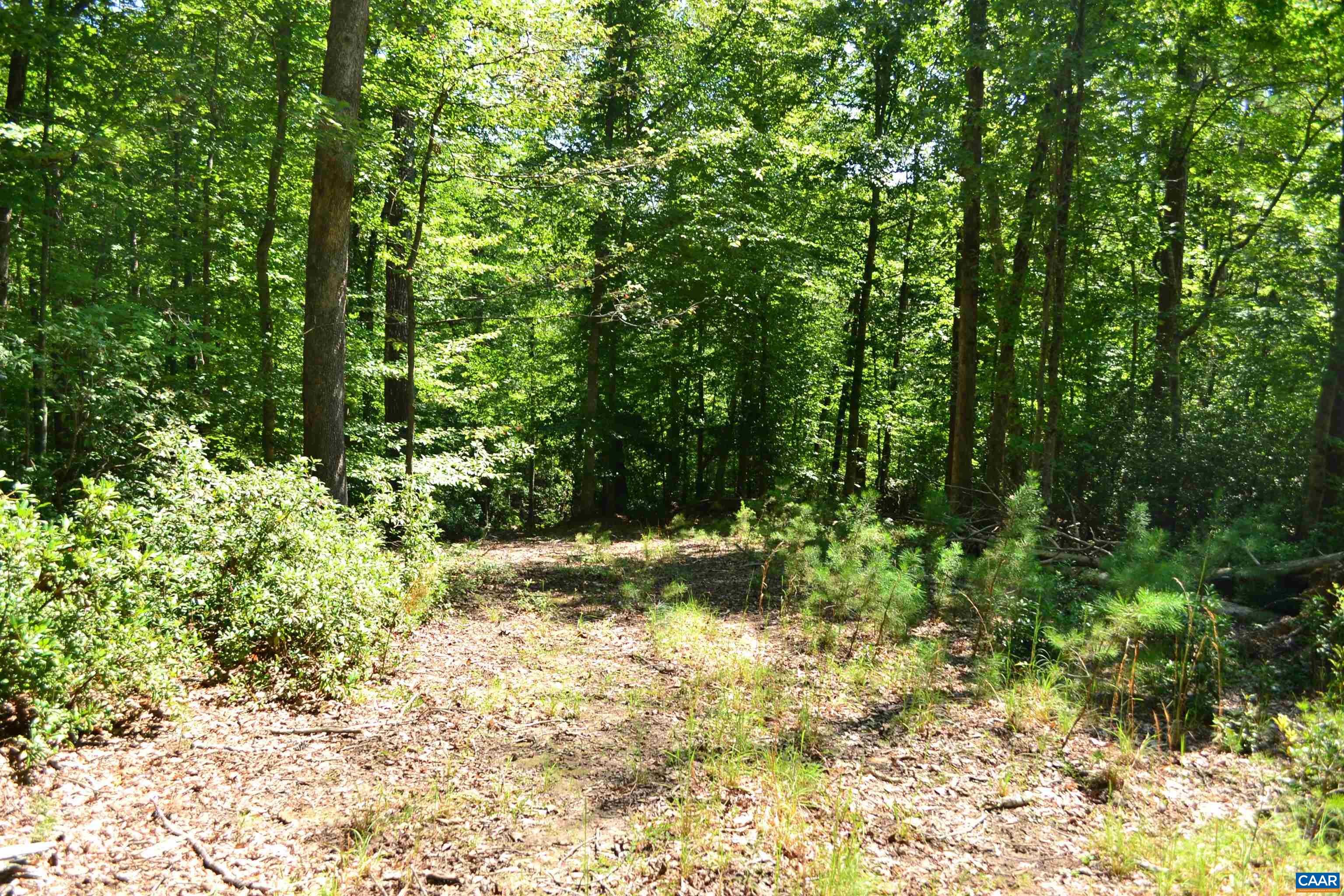 TBD DAMON RD, SCHUYLER, Virginia 22969, ,Land,TBD DAMON RD,682062 MLS # 682062 TBD DAMON RD, SCHUYLER, Virginia 22969, ,Land,TBD DAMON RD,682062 MLS # 682062