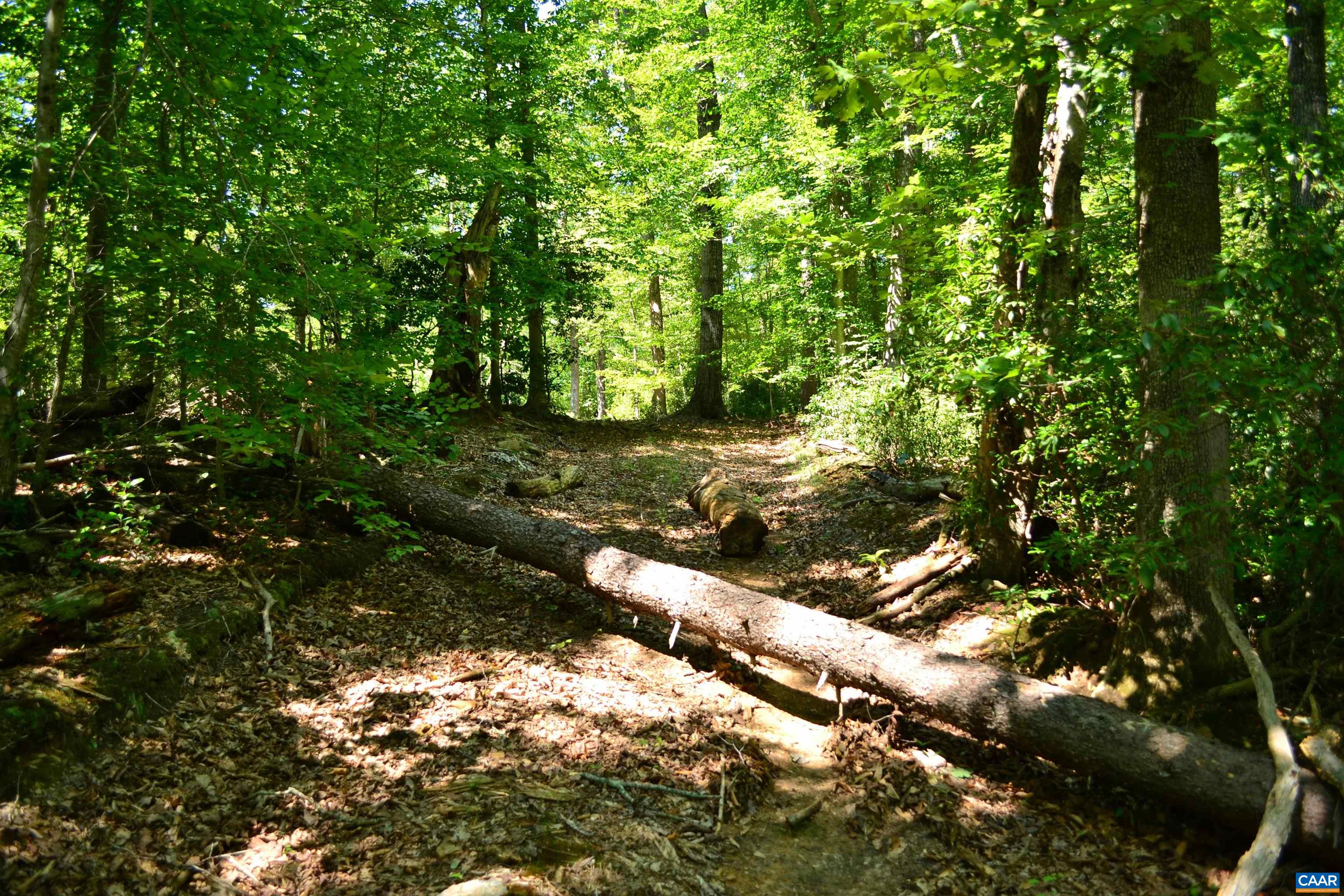 TBD DAMON RD, SCHUYLER, Virginia 22969, ,Land,TBD DAMON RD,682062 MLS # 682062 TBD DAMON RD, SCHUYLER, Virginia 22969, ,Land,TBD DAMON RD,682062 MLS # 682062